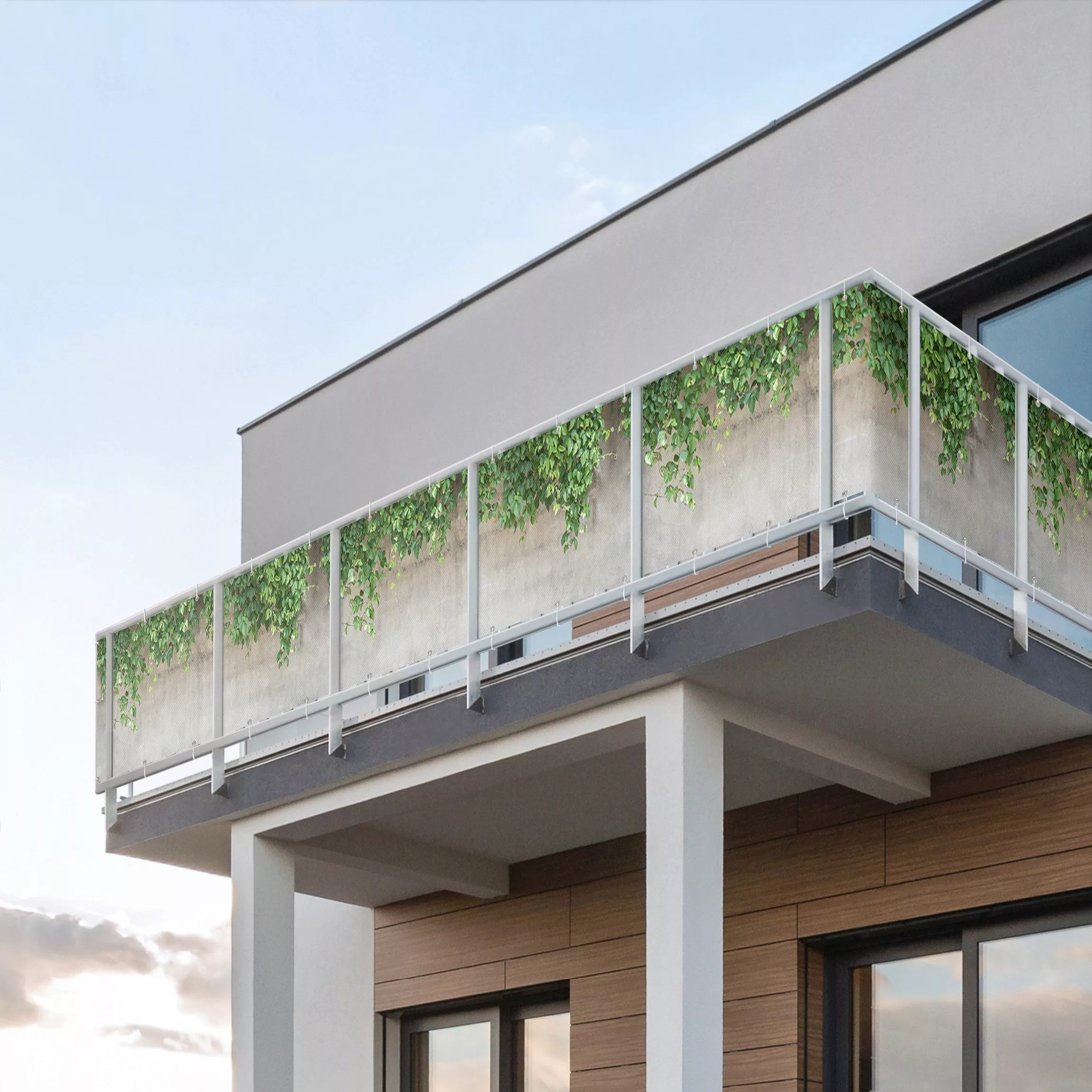 Balkon Sichtschutz Mauer mit Efeu günstig online kaufen