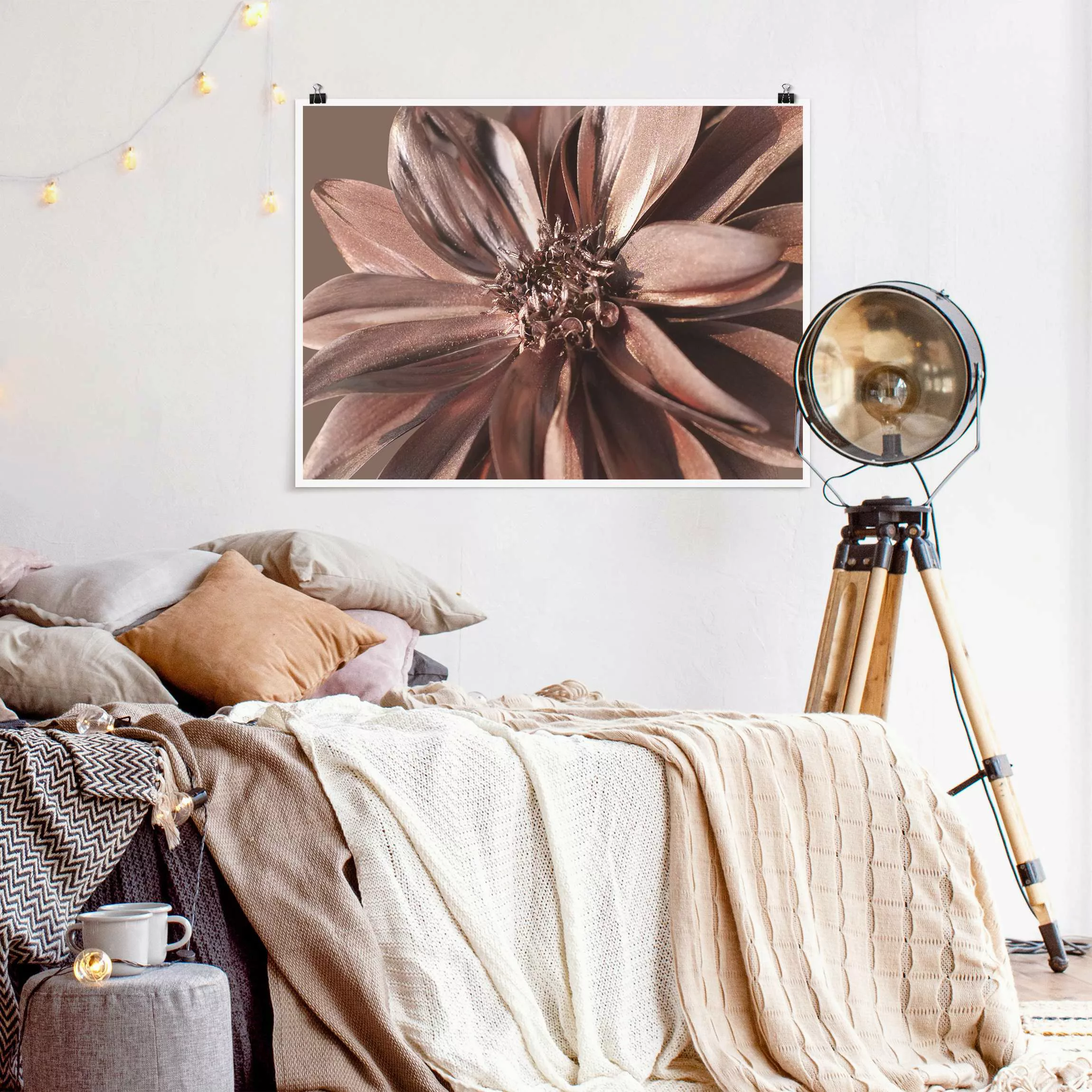 Poster Fotografie Kupfergoldener Dahlientraum günstig online kaufen