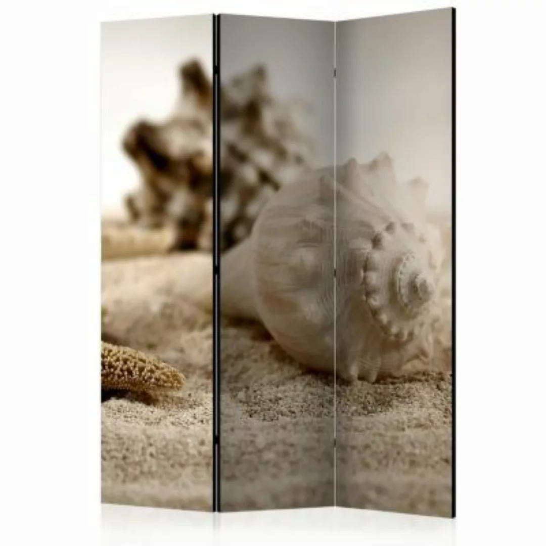 artgeist Paravent Beach and shell [Room Dividers] beige Gr. 135 x 172 günstig online kaufen