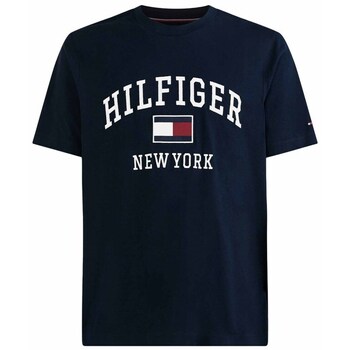 Tommy Hilfiger  T-Shirt MW0MW28218DW5 günstig online kaufen