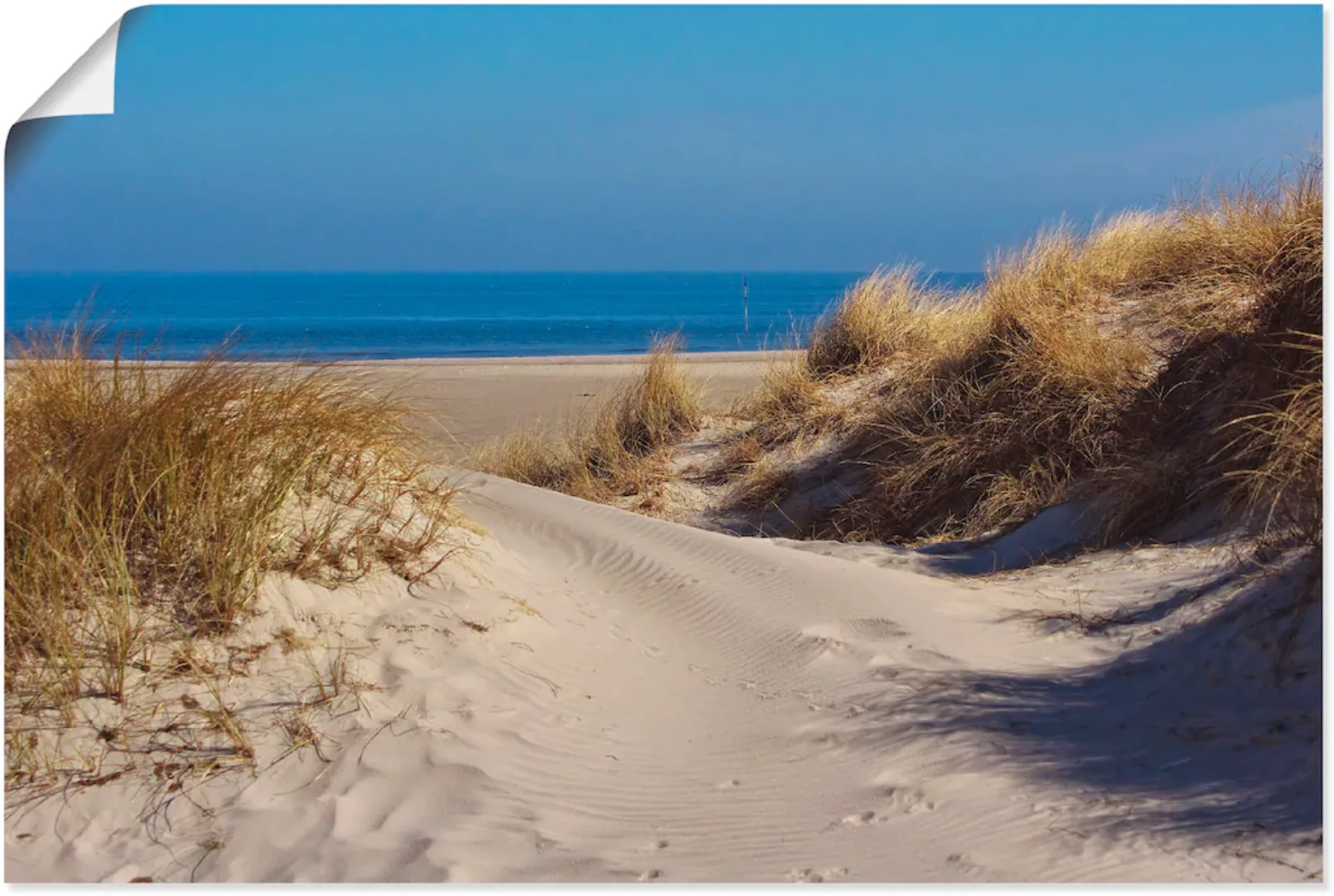 Artland Poster "Am Meer - Insel Amrum", Strand, (1 St.), als Alubild, Leinw günstig online kaufen