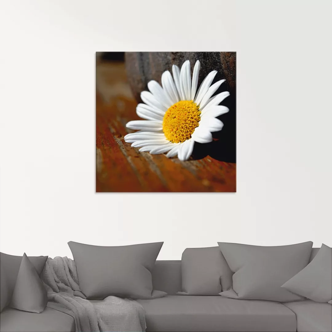 Artland Glasbild "Margeriten Stillleben", Blumen, (1 St.) günstig online kaufen