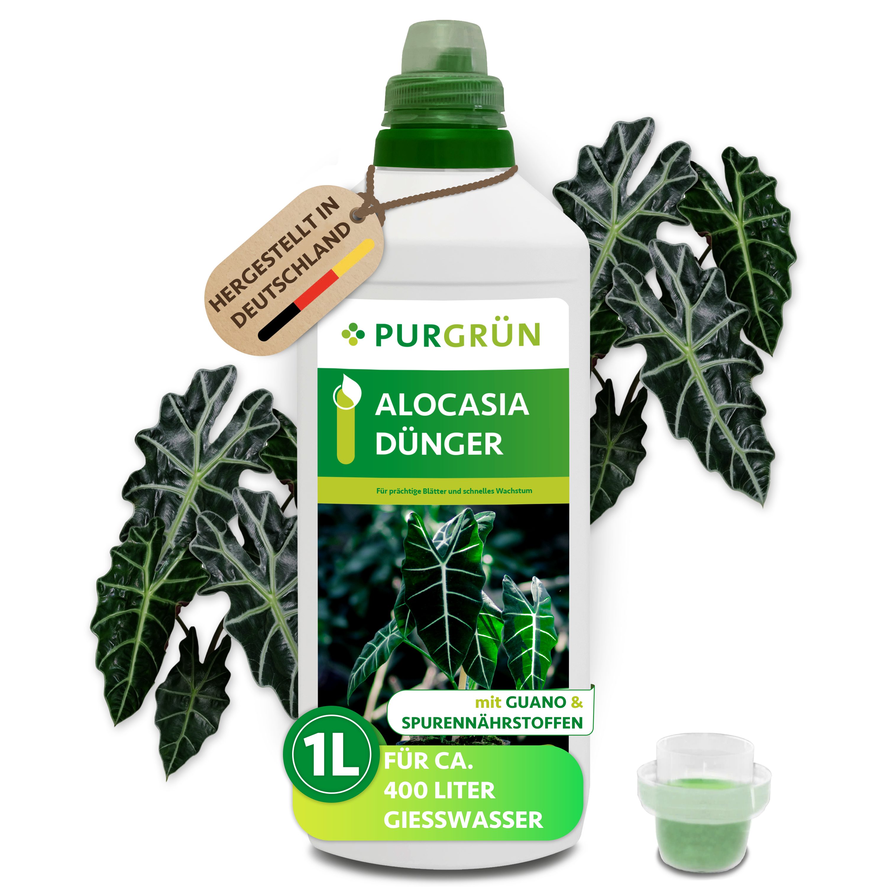 Purgrün Universaldünger Purgrün Alocasia Dünger, NPK günstig online kaufen