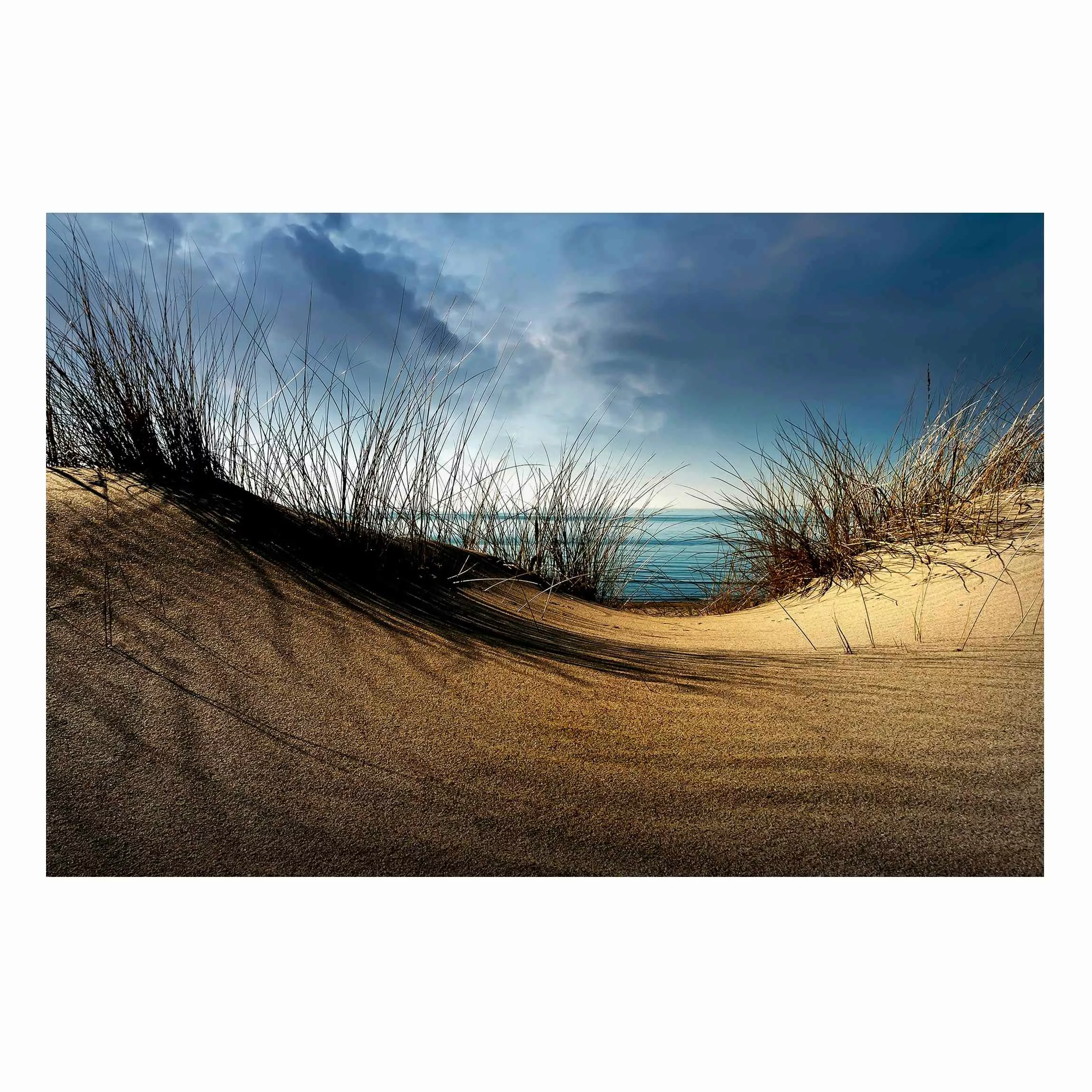 Magnettafel Natur & Landschaft - Querformat 3:2 Sanddüne günstig online kaufen