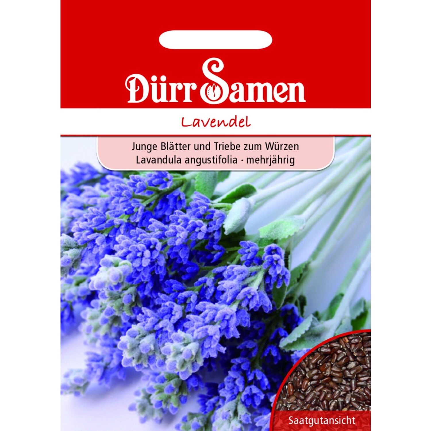 Dürr Samen Lavendel Saatgut günstig online kaufen