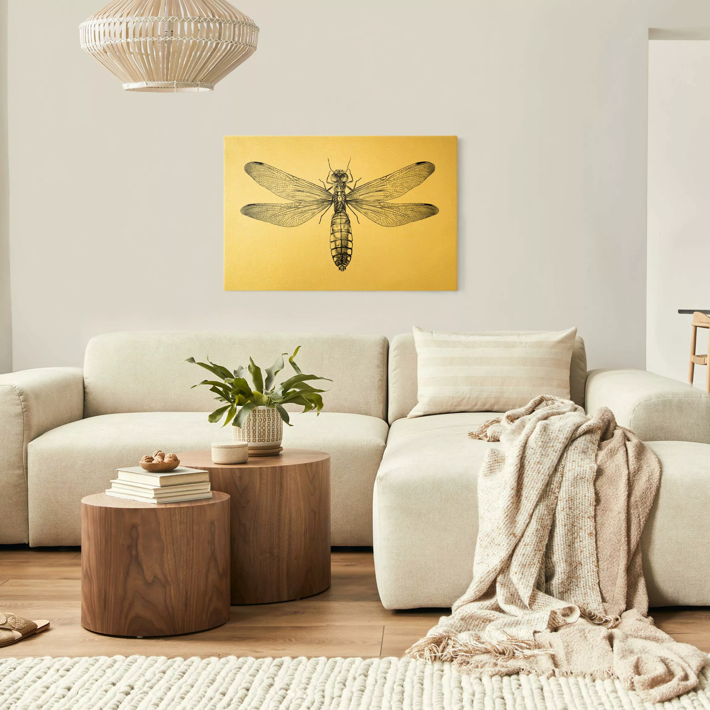 Leinwandbild Illustration fliegende Libelle Schwarz günstig online kaufen