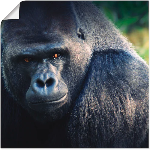 Artland Poster »Gorilla«, Wildtiere, (1 St.), als Leinwandbild, Wandaufkleb günstig online kaufen