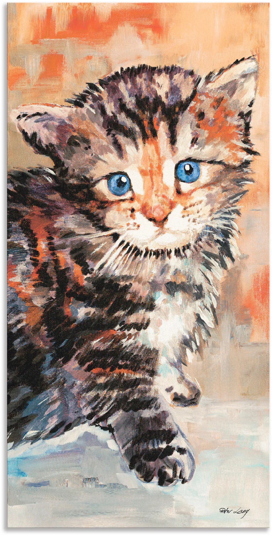 Artland Wandbild »Katze«, Haustiere, (1 St.), als Alubild, Outdoorbild, Wan günstig online kaufen