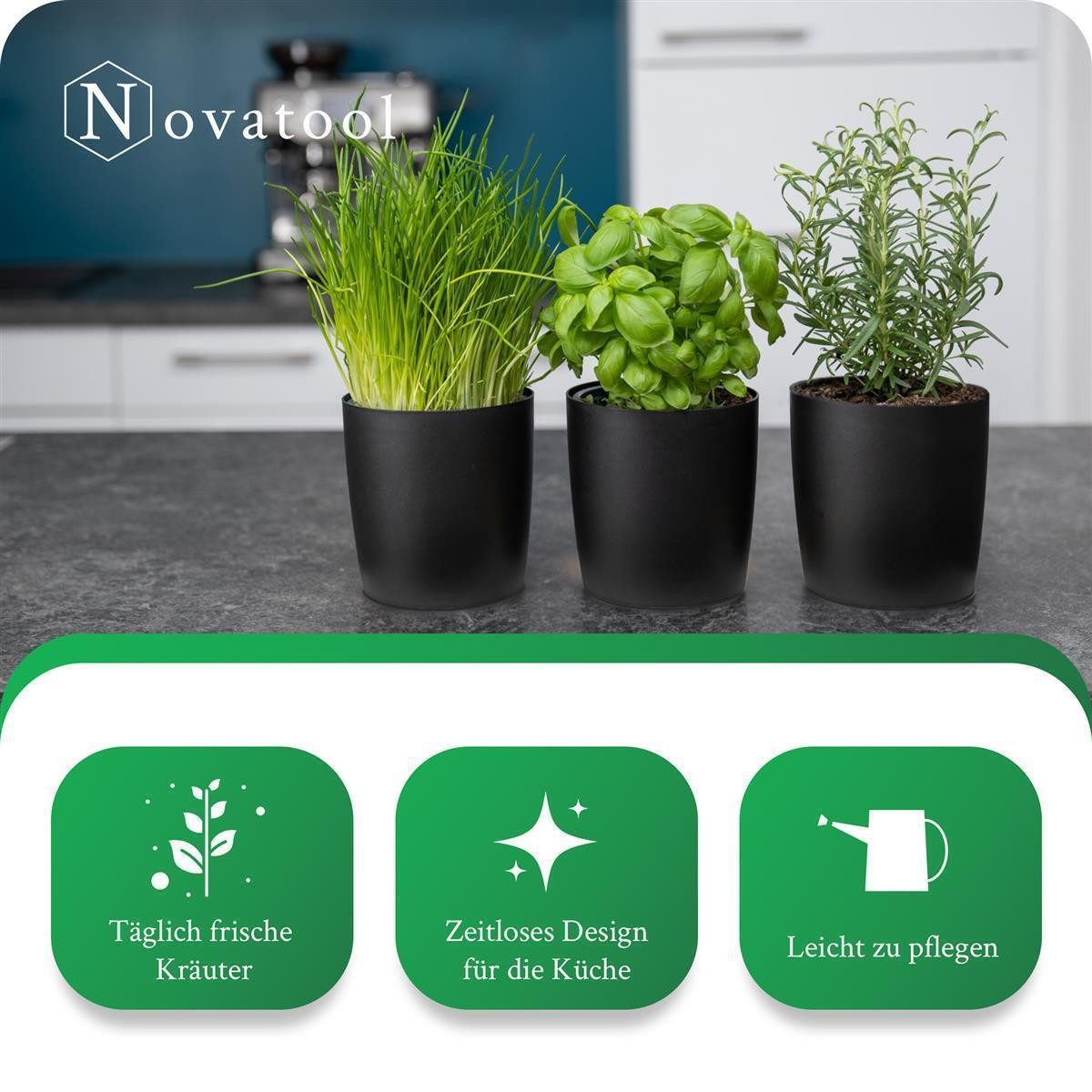 Novaliv Kräutertopf - (20 St), 20x günstig online kaufen