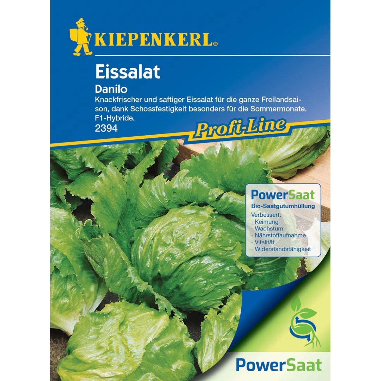 Kiepenkerl Eissalat Danilo (Lactuca sativa) günstig online kaufen