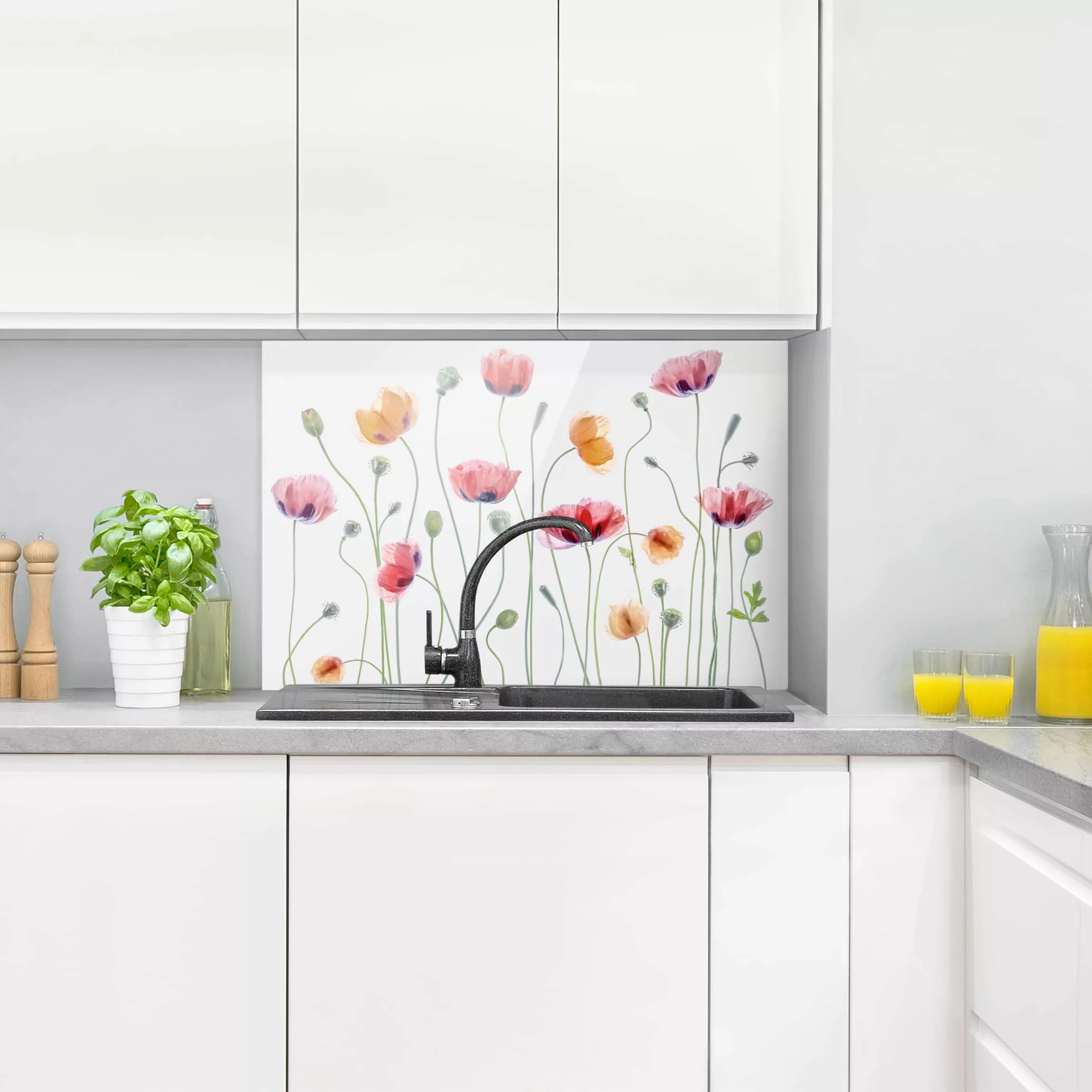 Glas Spritzschutz Blumen - Querformat 3:2 Klatschmohn Party günstig online kaufen