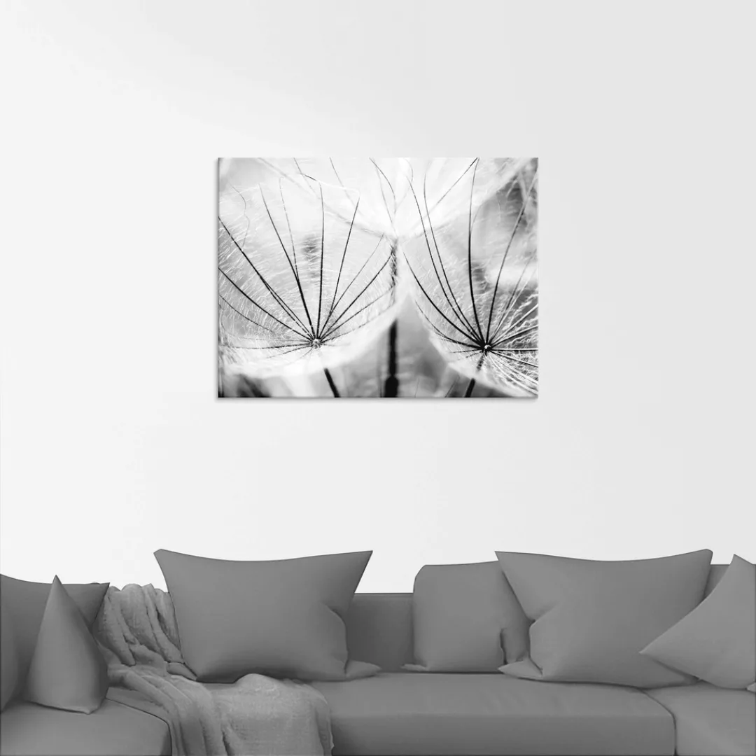 Artland Glasbild "Pusteblume in schwarzweiß", Blumen, (1 St.) günstig online kaufen