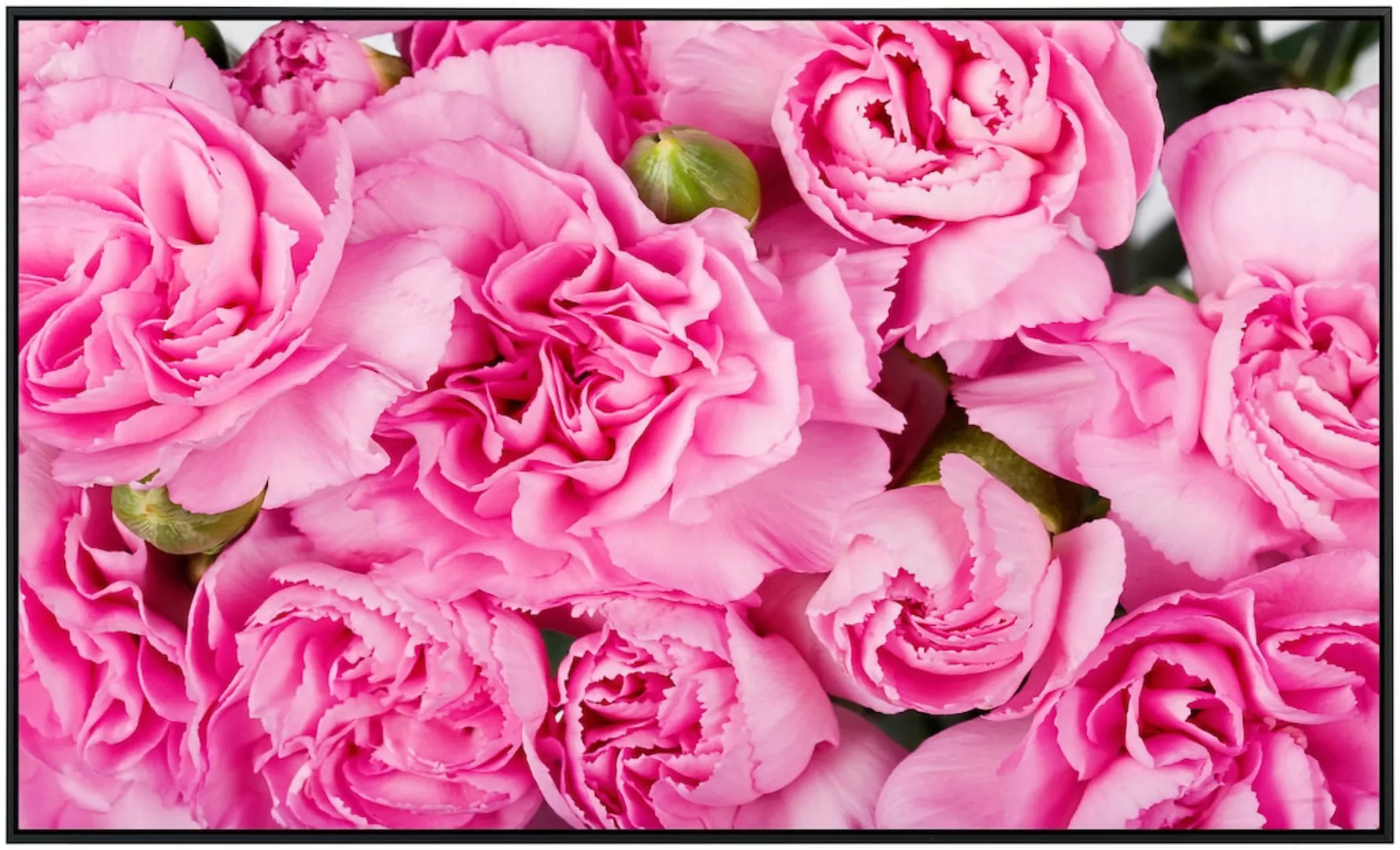 Papermoon Infrarotheizung »Rosen rosa«, sehr angenehme Strahlungswärme günstig online kaufen