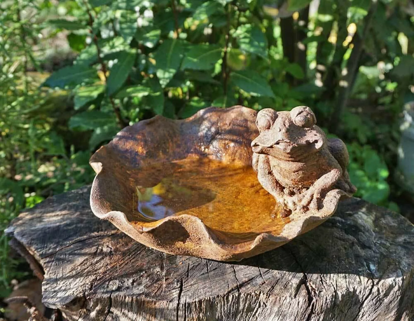 Vogeltränke Frosch auf Seerose Vogelbad Eisen Edelrost Vintage-Stil Gartend günstig online kaufen