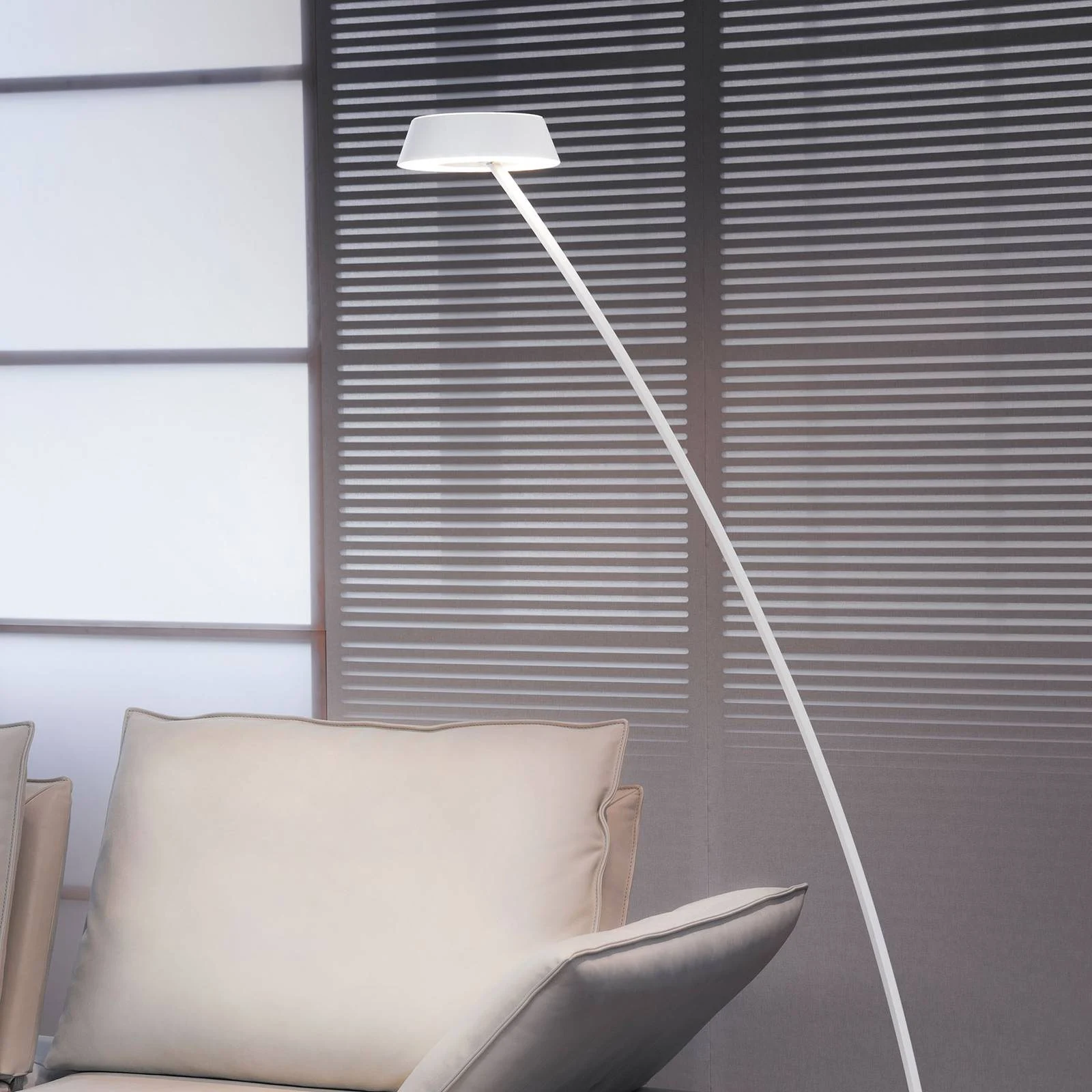 OLIGO Glance LED-Stehlampe gebogen weiß matt günstig online kaufen