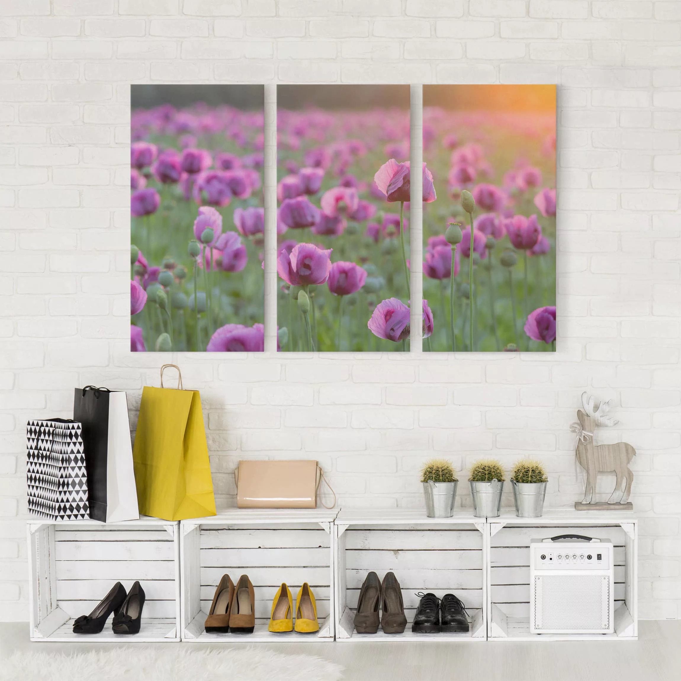 3-teiliges Leinwandbild Blumen - Querformat Violette Schlafmohn Blumenwiese günstig online kaufen