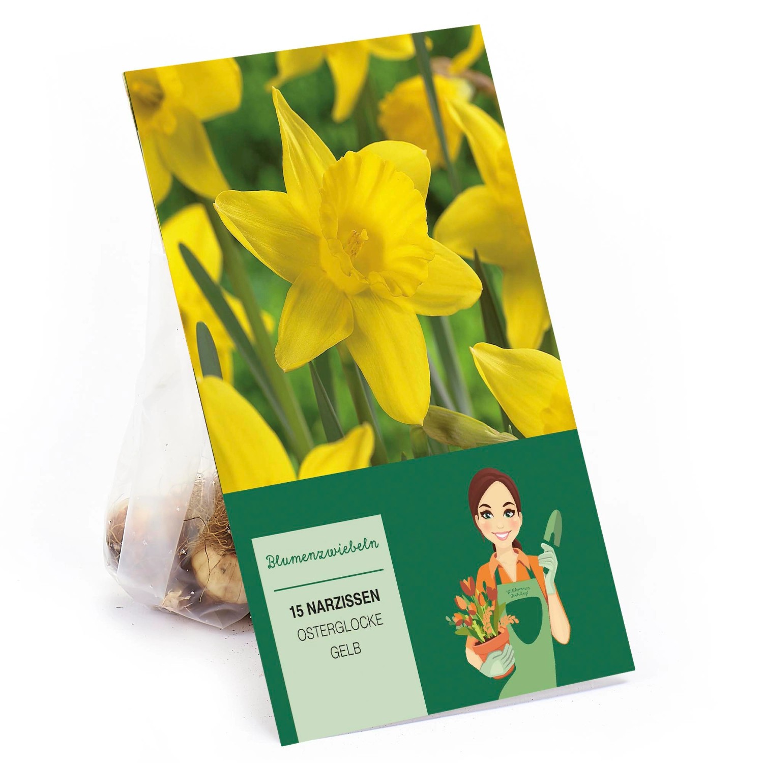 Narzissen Osterglocke Gelb 15 Stück Narcissus Yellow günstig online kaufen