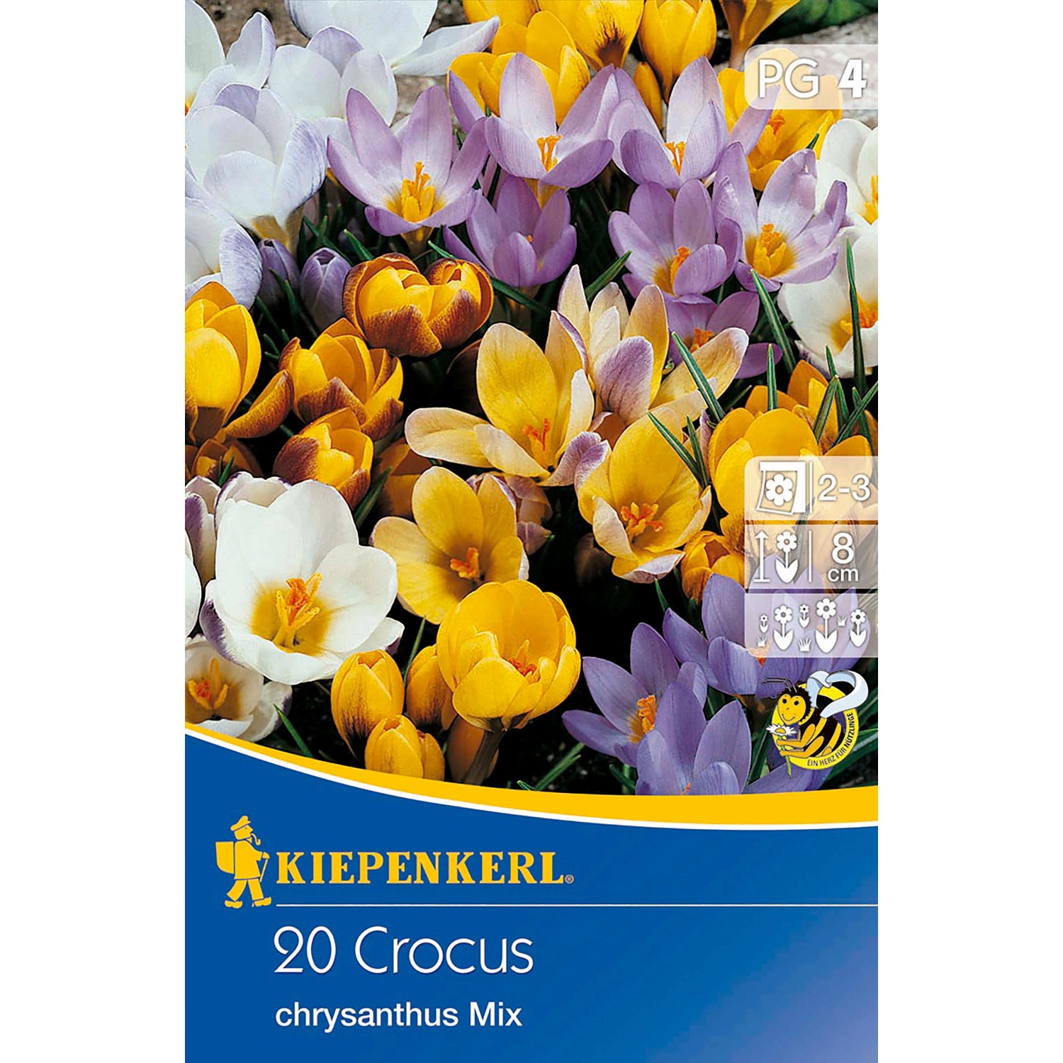 Kiepenkerl Krokusse Botanischer Mix 20 Stück günstig online kaufen