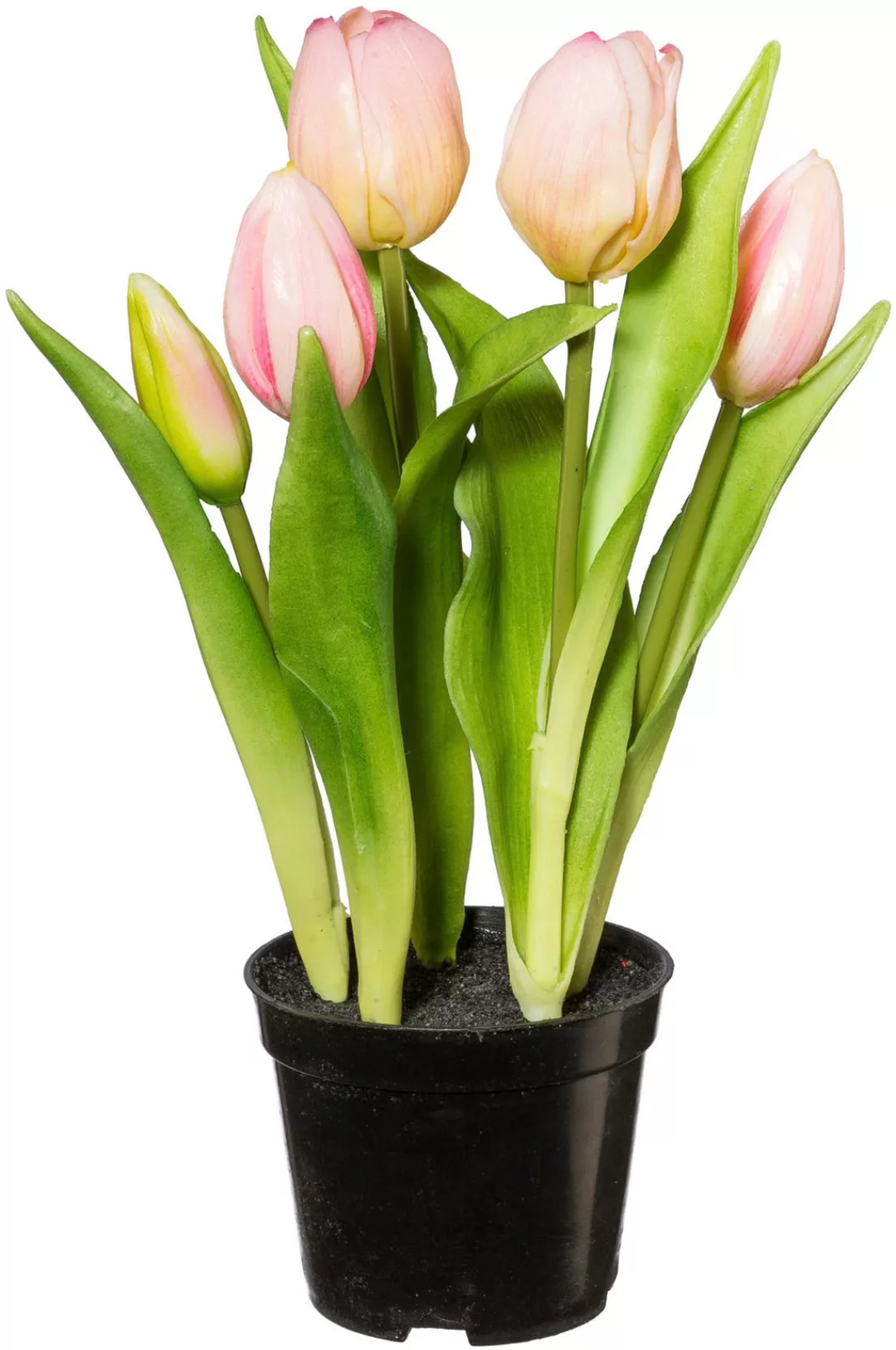 my home Kunsttulpe "Gefüllte Tulpen" günstig online kaufen