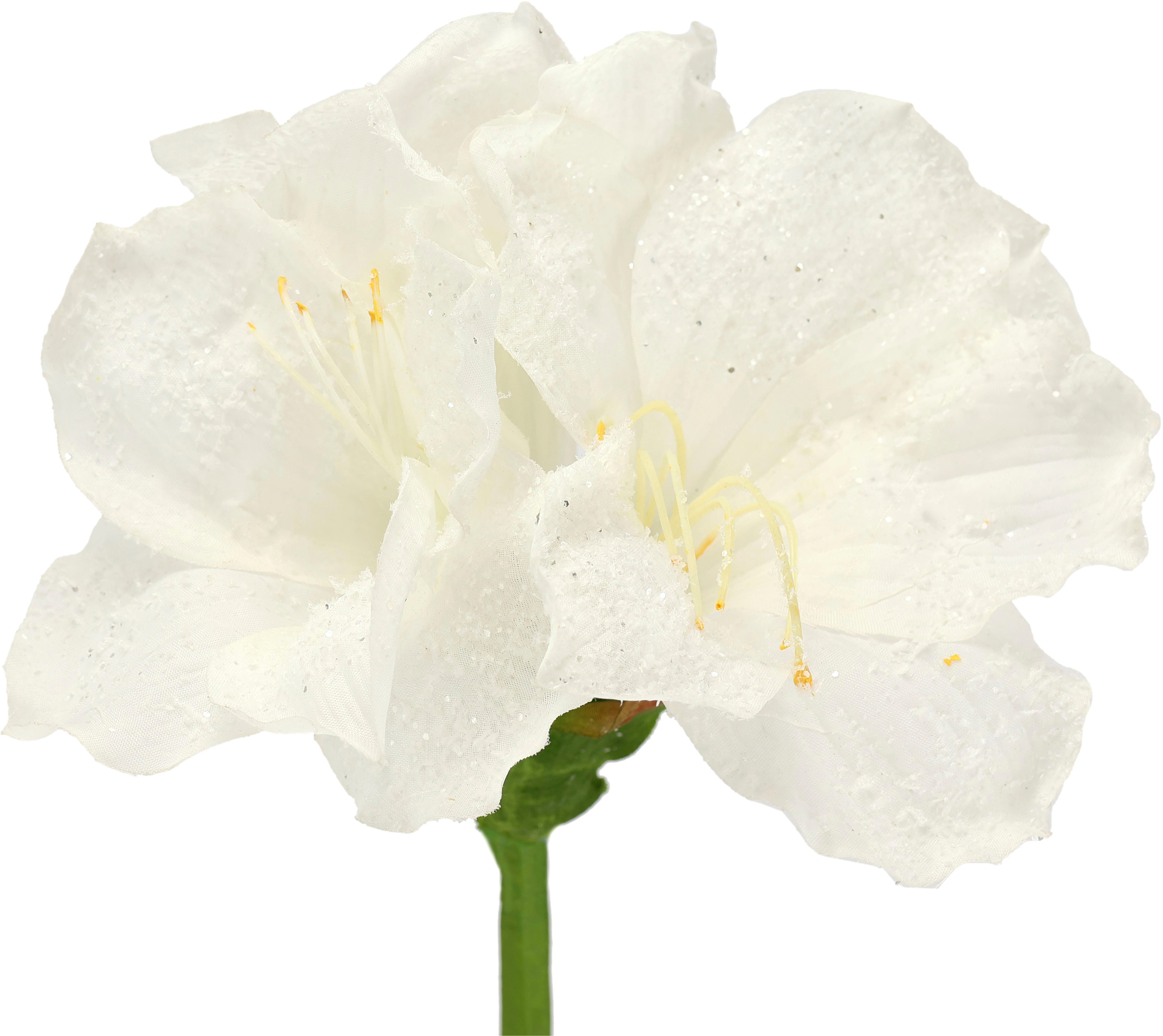 Kunstblume Amaryllis 2er Set, I.GE.A., Höhe günstig online kaufen
