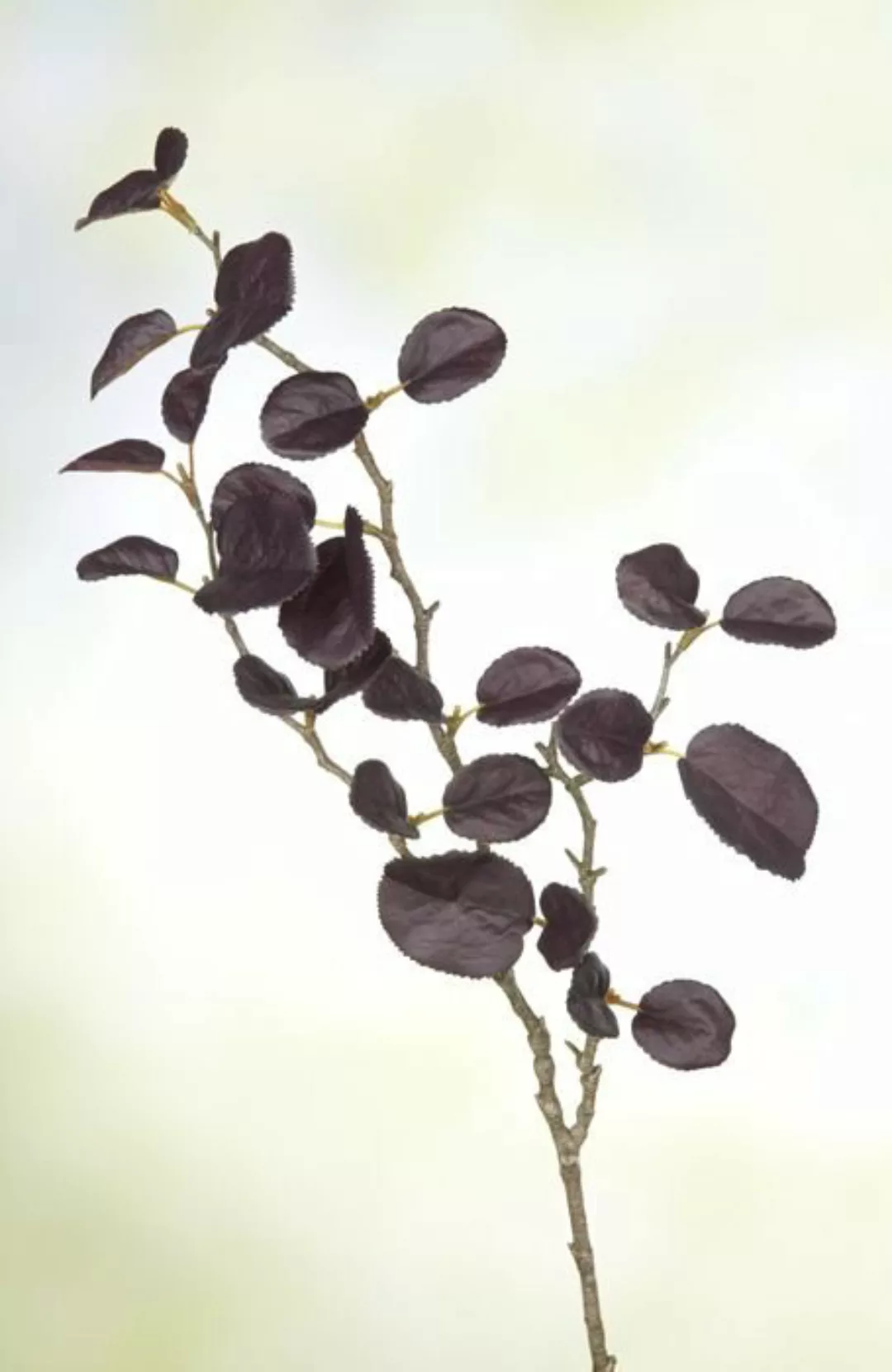Flower & Style Kunstpflanzen & -blumen Blätterzweig Magnolia aubergine 72 c günstig online kaufen