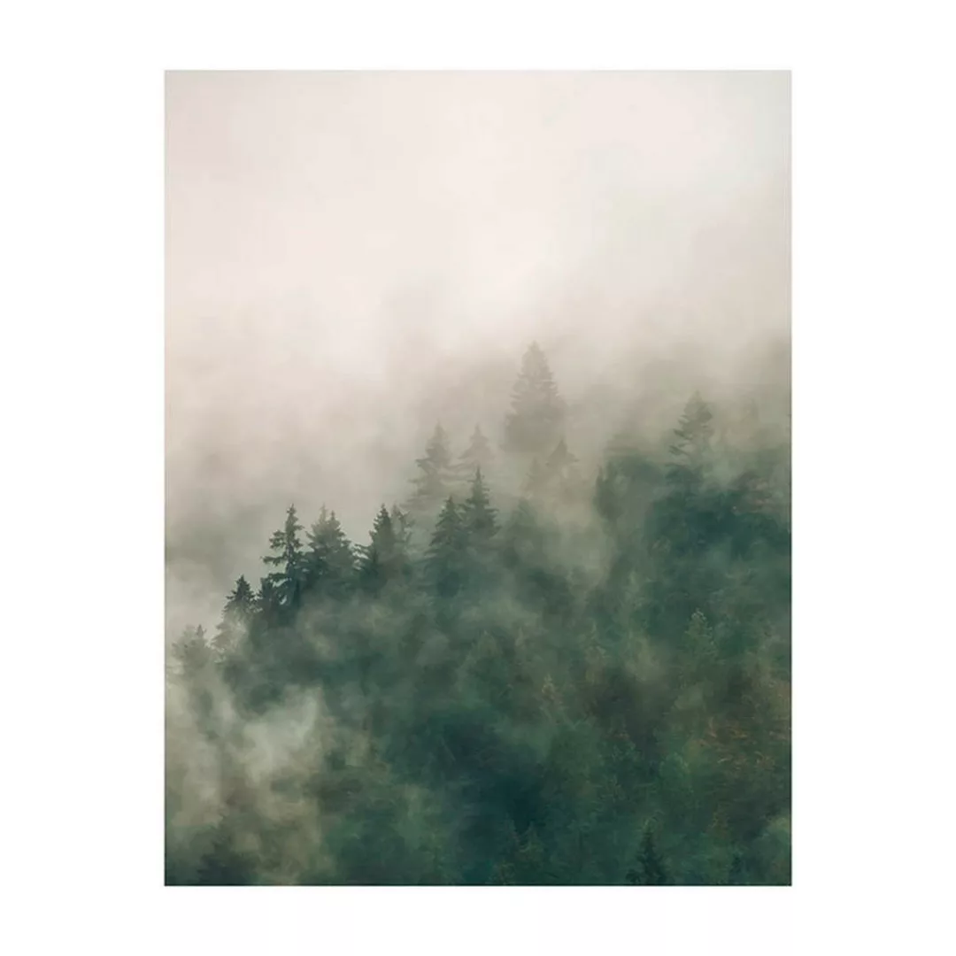Komar Wandbild Tales of the Carpathians Wald B/L: ca. 40x50 cm günstig online kaufen