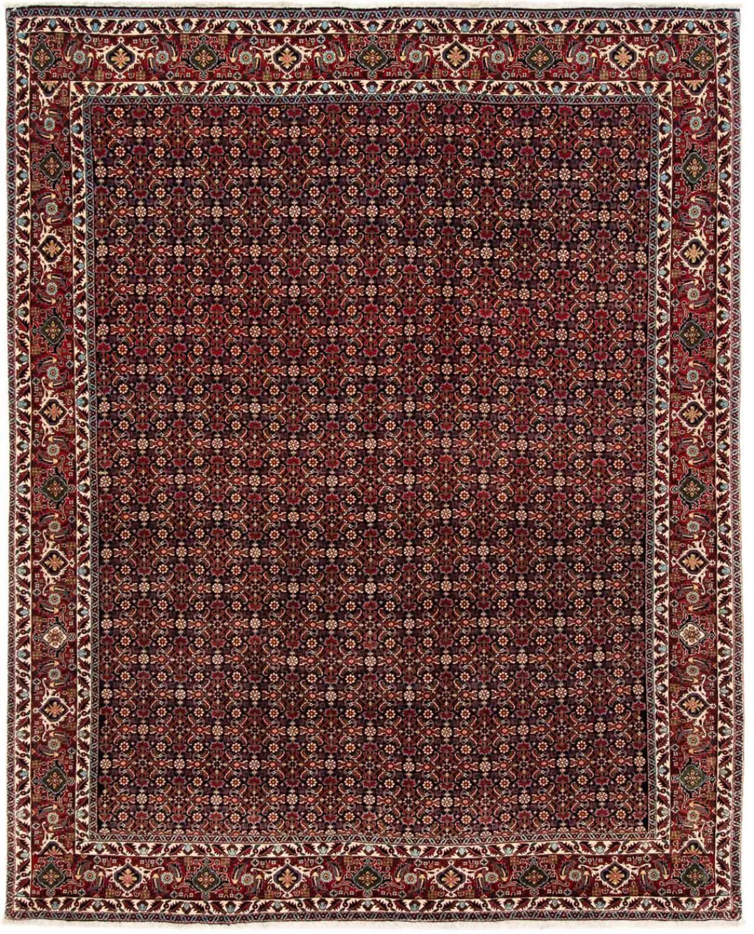 morgenland Orientteppich »Perser - Bidjar - 248 x 205 cm - dunkelrot«, rech günstig online kaufen