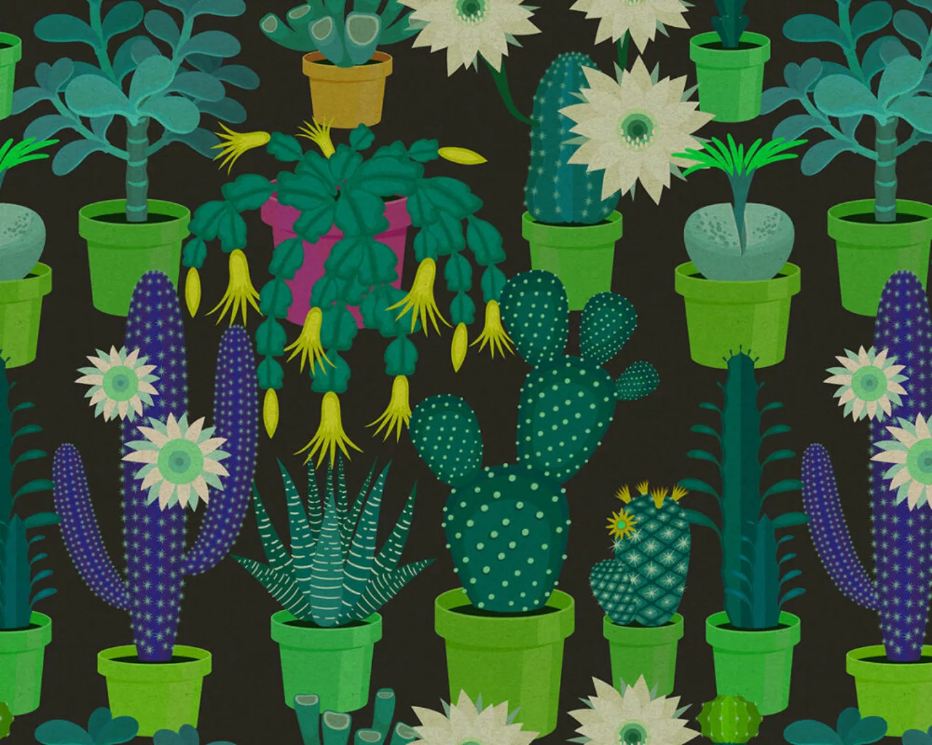 Fototapete "cactus garden2" 4,00x2,70 m / Glattvlies Perlmutt günstig online kaufen