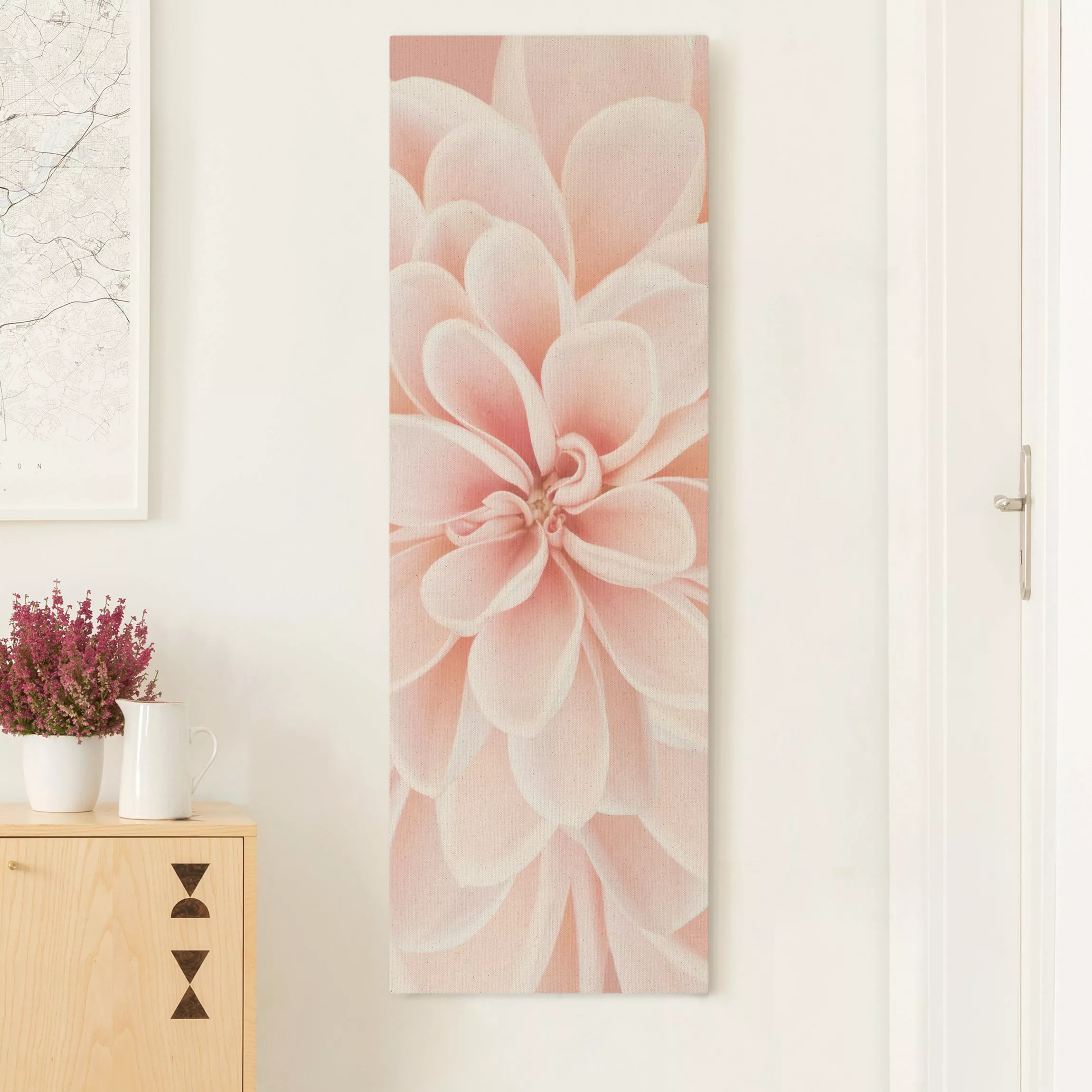 Leinwandbild auf Naturcanvas Dahlie in Pastellrosa günstig online kaufen