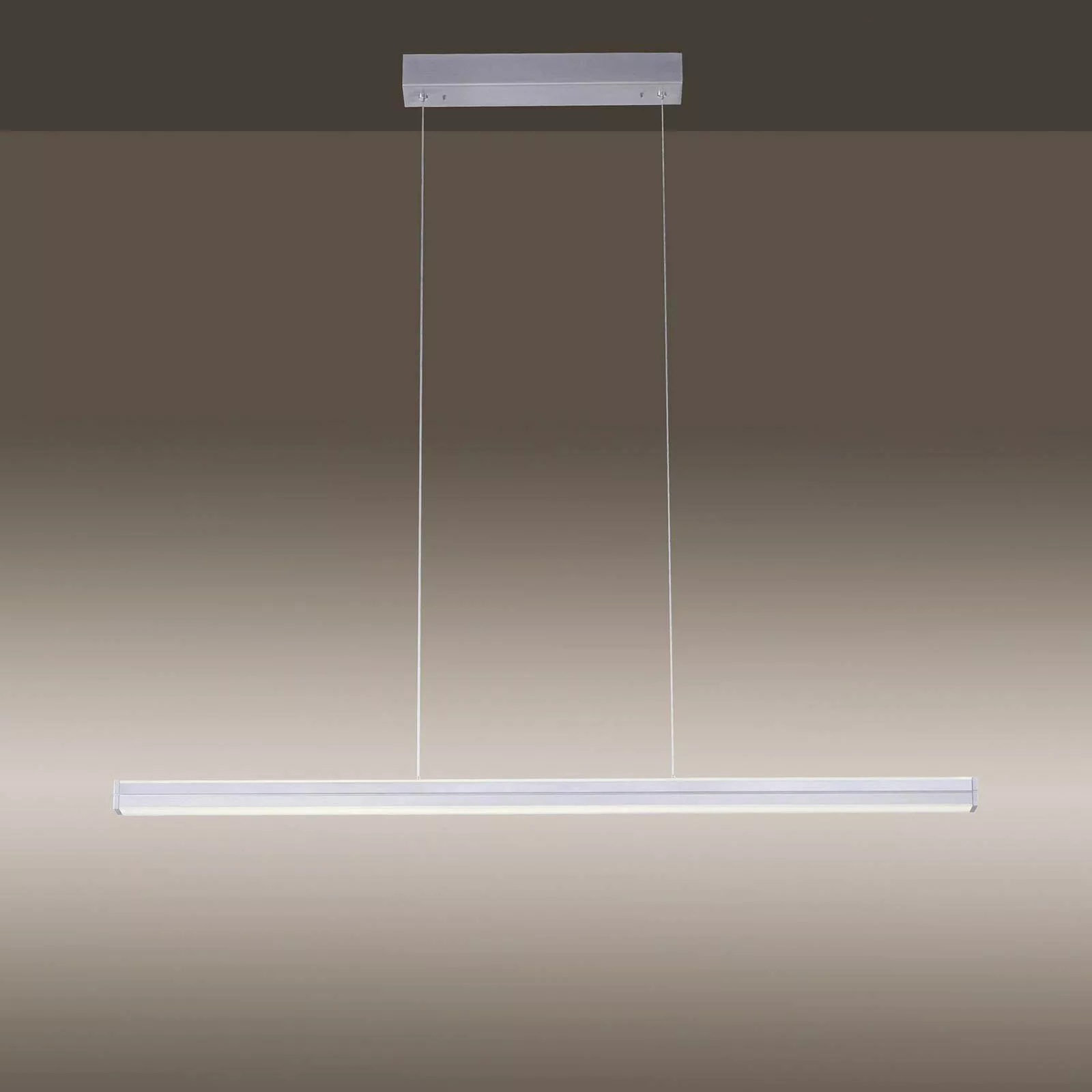 Paul Neuhaus LED Pendelleuchte »NIRO«, 1 flammig, Leuchtmittel LED-Board-LE günstig online kaufen