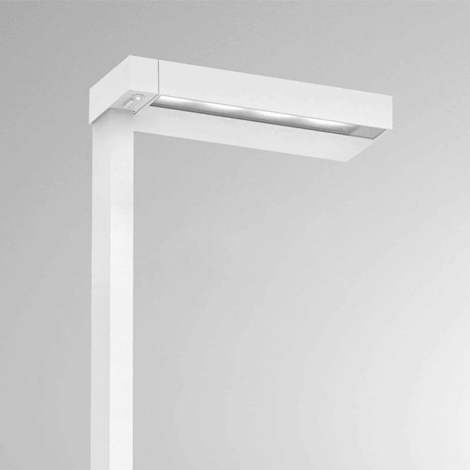 Molto Luce Concept Right F Stehlampe dimmbar weiß günstig online kaufen