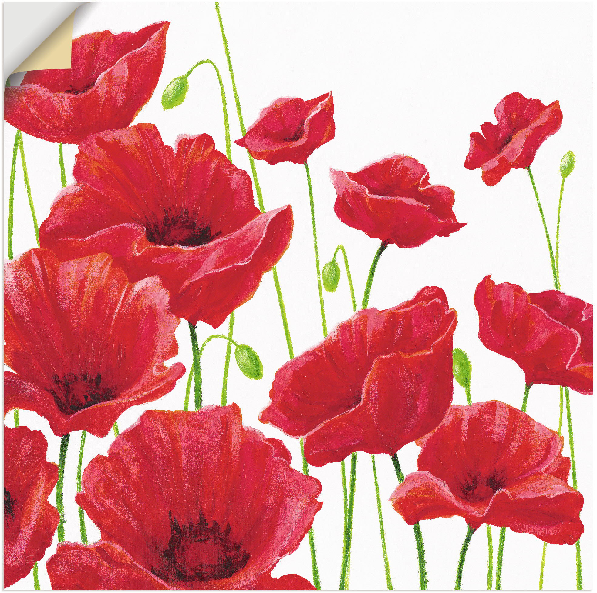 Artland Wandbild "Rote Mohnblumen I", Blumen, (1 St.), als Alubild, Outdoor günstig online kaufen