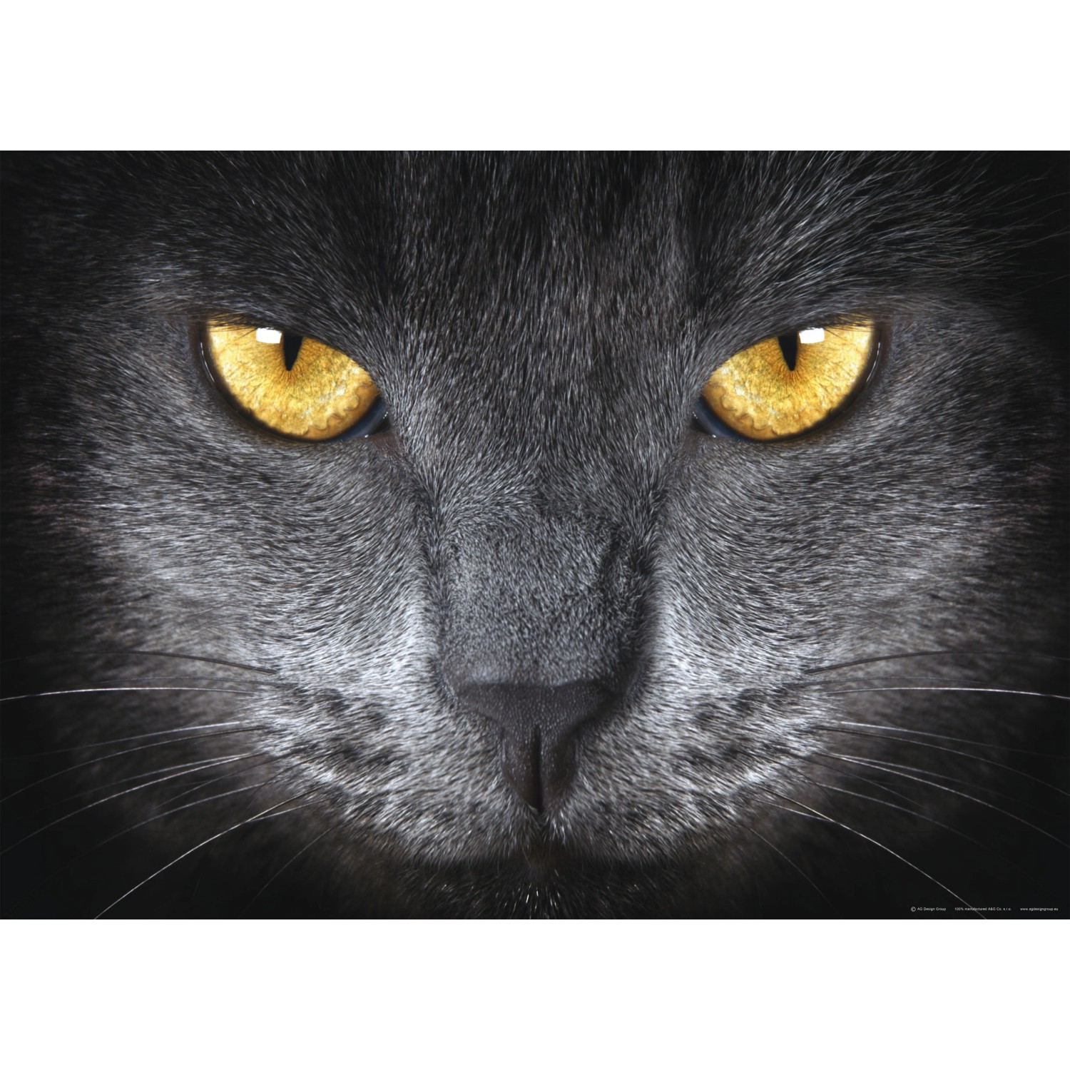 Sanders & Sanders Poster Katze Schwarz und Gelb 160 x 110 cm 600701 günstig online kaufen