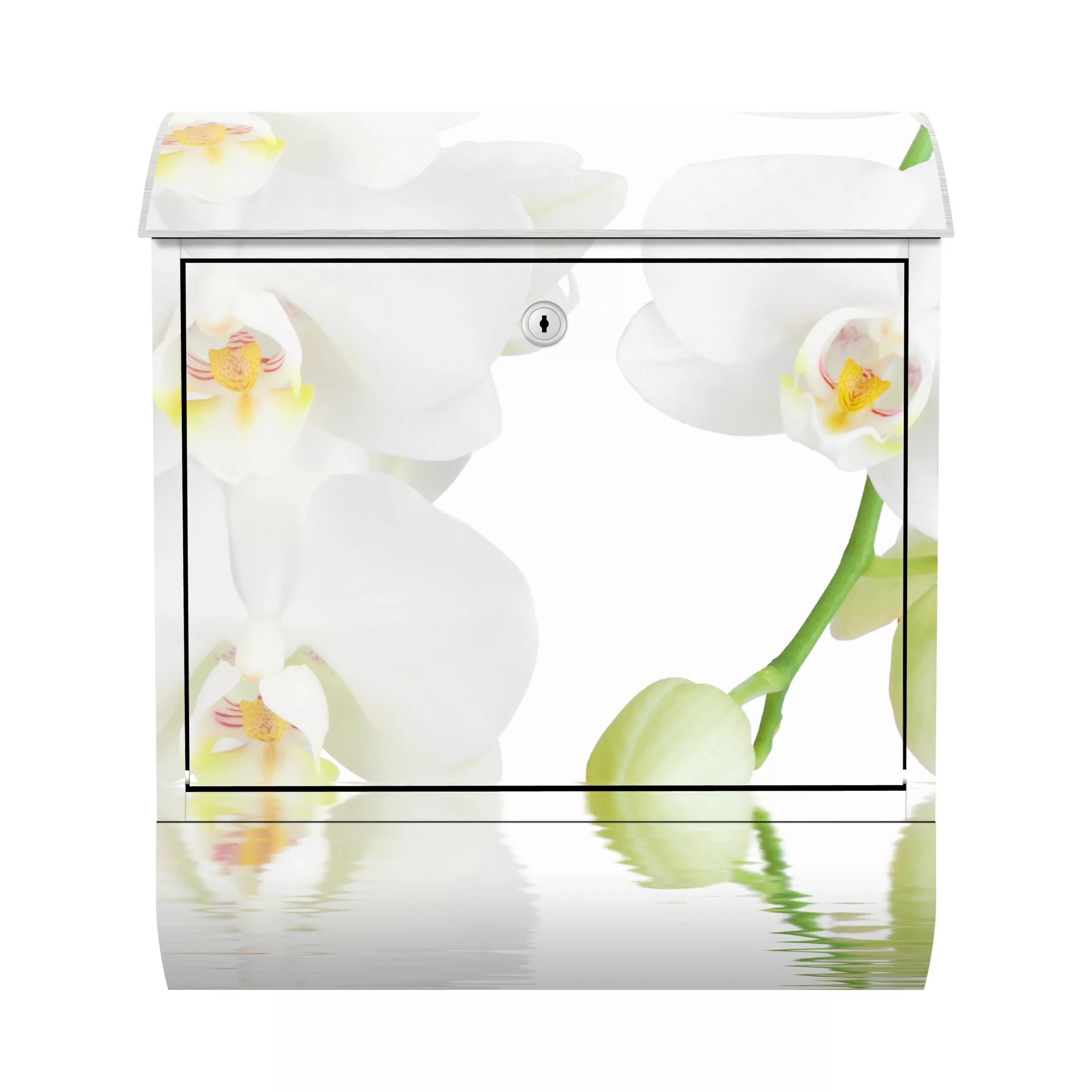 Briefkasten Blumen Wellness Orchidee - Weiße Orchidee günstig online kaufen