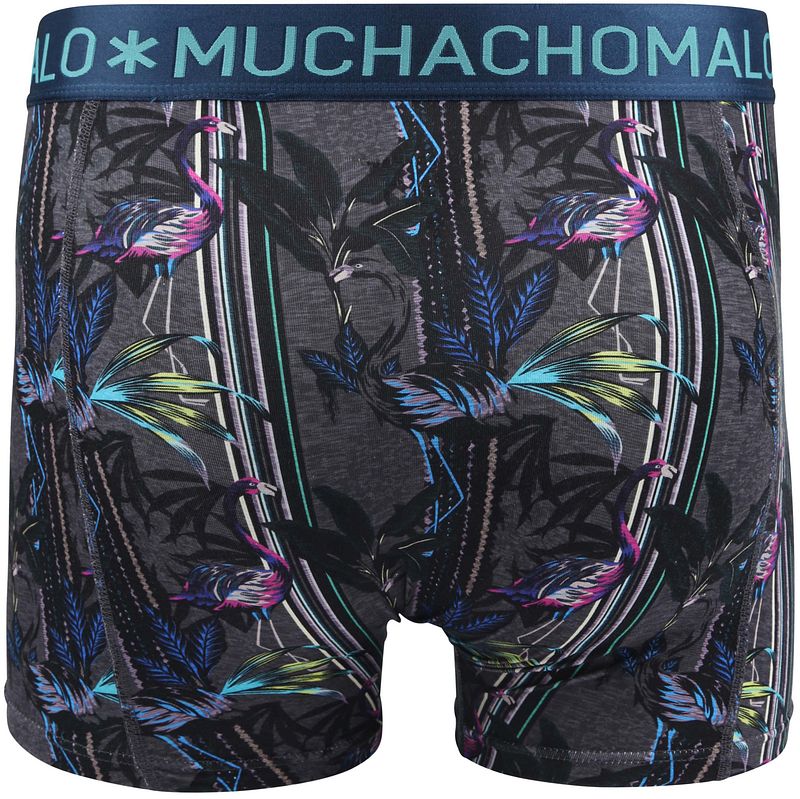 Muchachomalo Boxershorts 3er-Pack Flamingo - Größe M günstig online kaufen