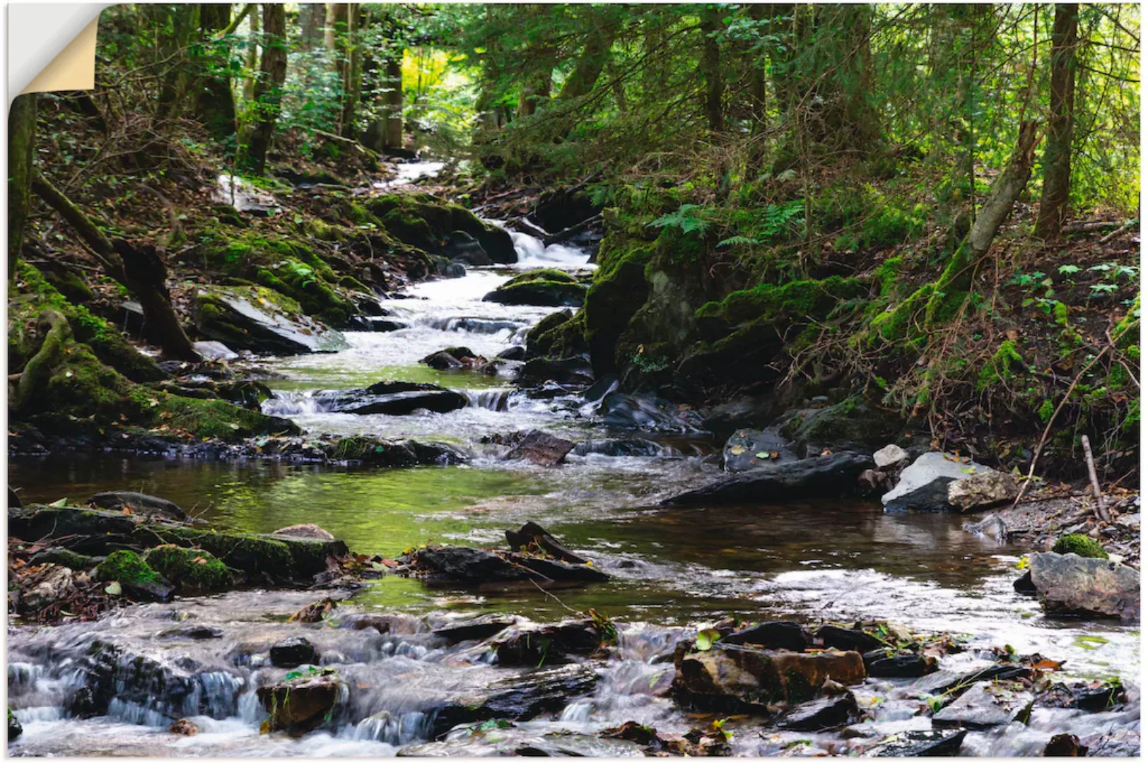 Artland Wandbild »Bachlauf im Wald«, Gewässer, (1 St.) günstig online kaufen