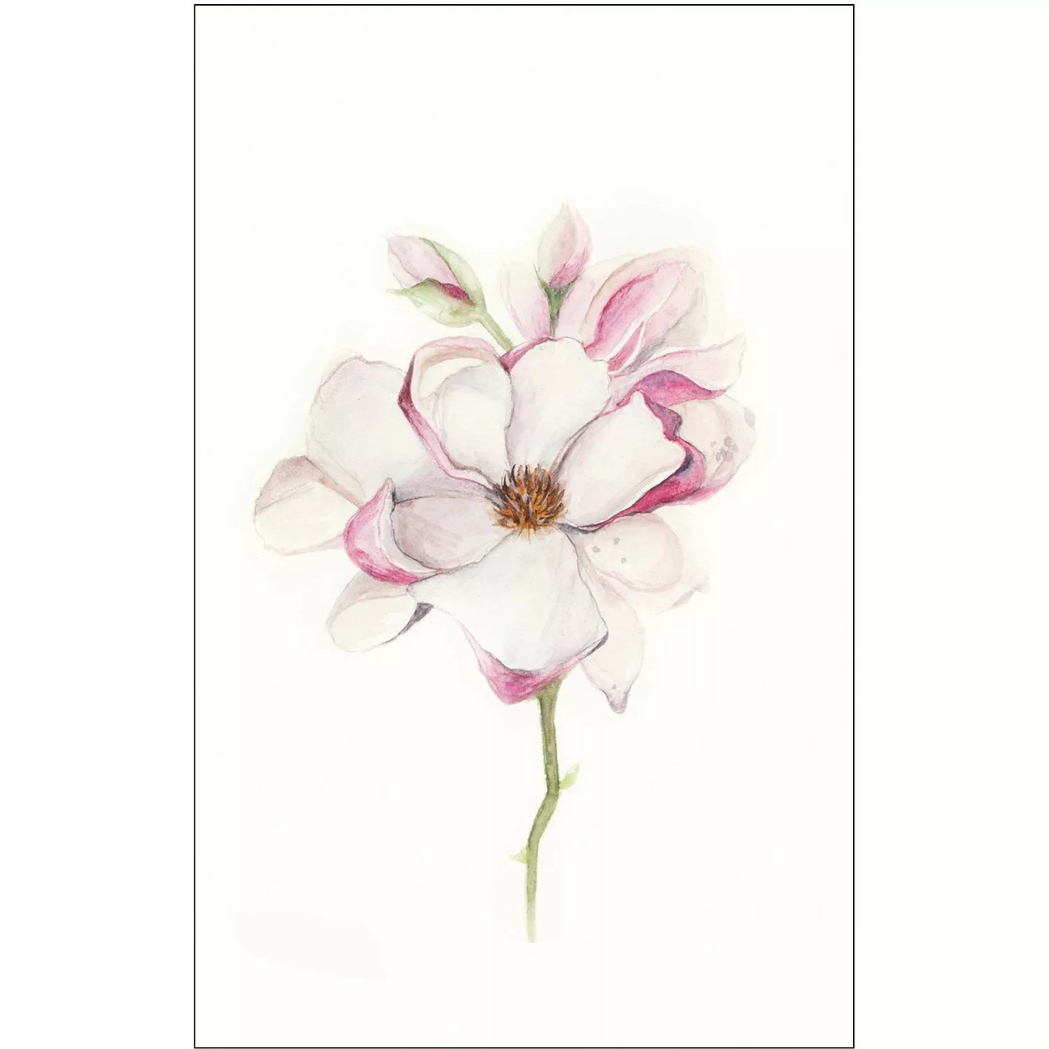 Komar Wandbild Magnolia Blossom 50 x 70 cm günstig online kaufen