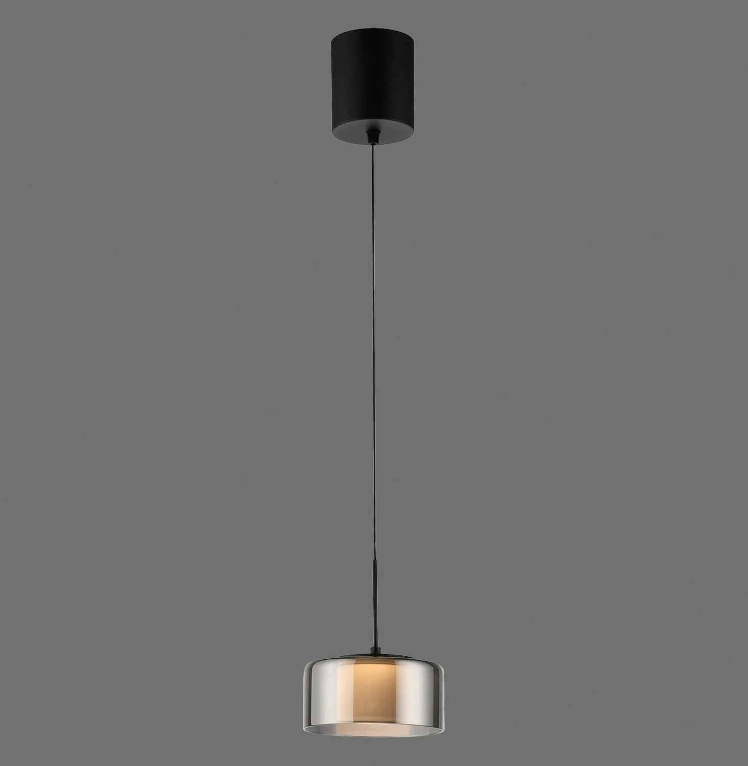 Paul Neuhaus LED Pendelleuchte RIKA, 1-flammig, günstig online kaufen