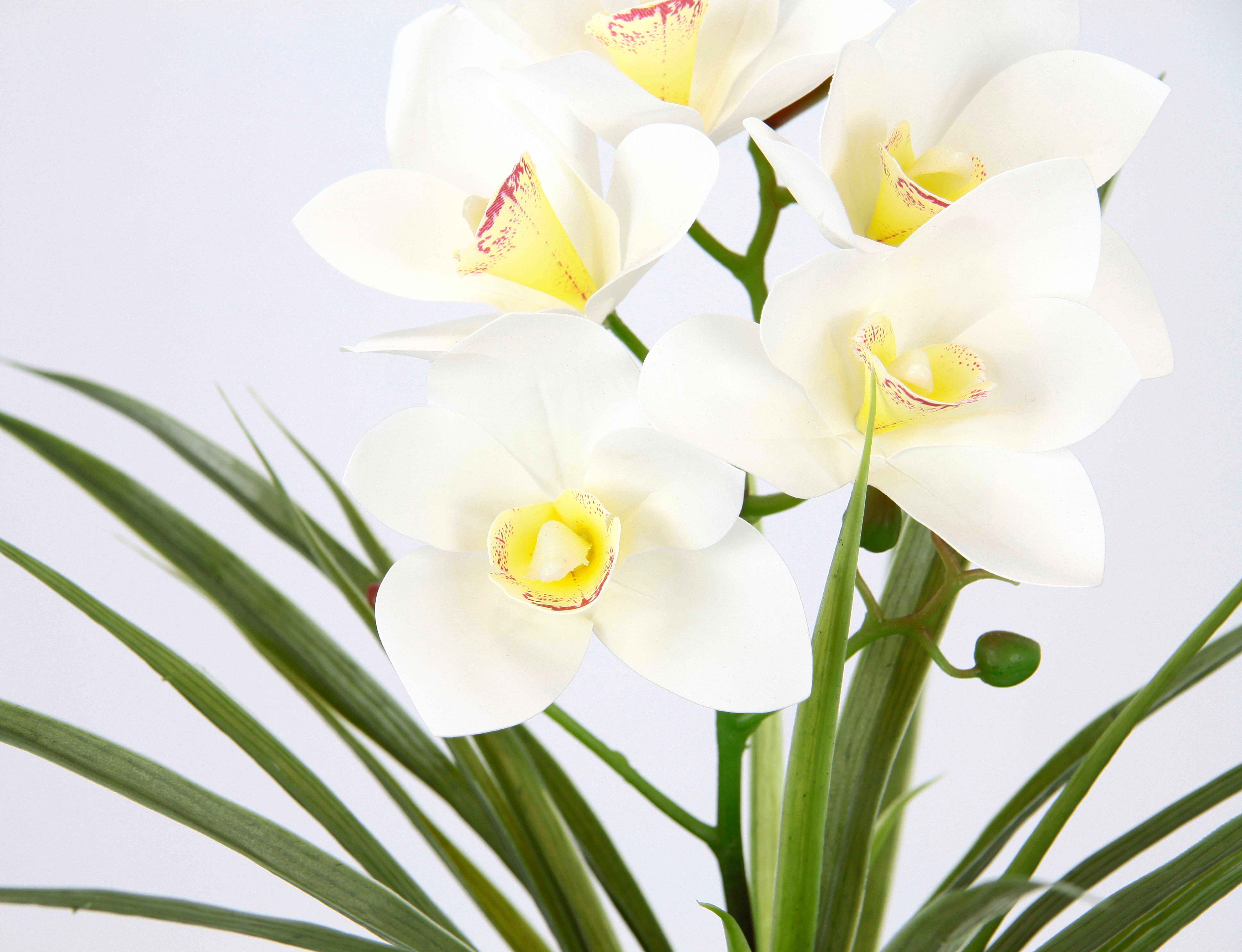 Kunstblume Orchidee, my home, Höhe 40 günstig online kaufen