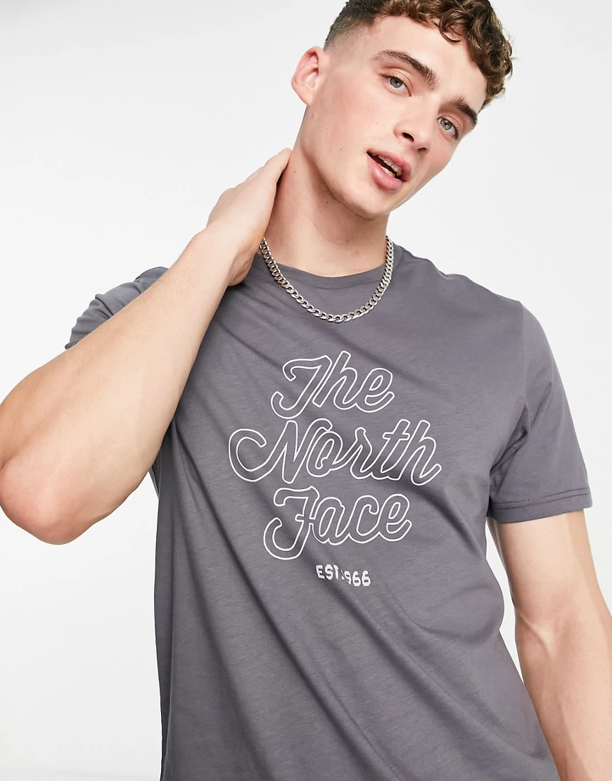 The North Face – Natural Wonders – T-Shirt in Grau günstig online kaufen