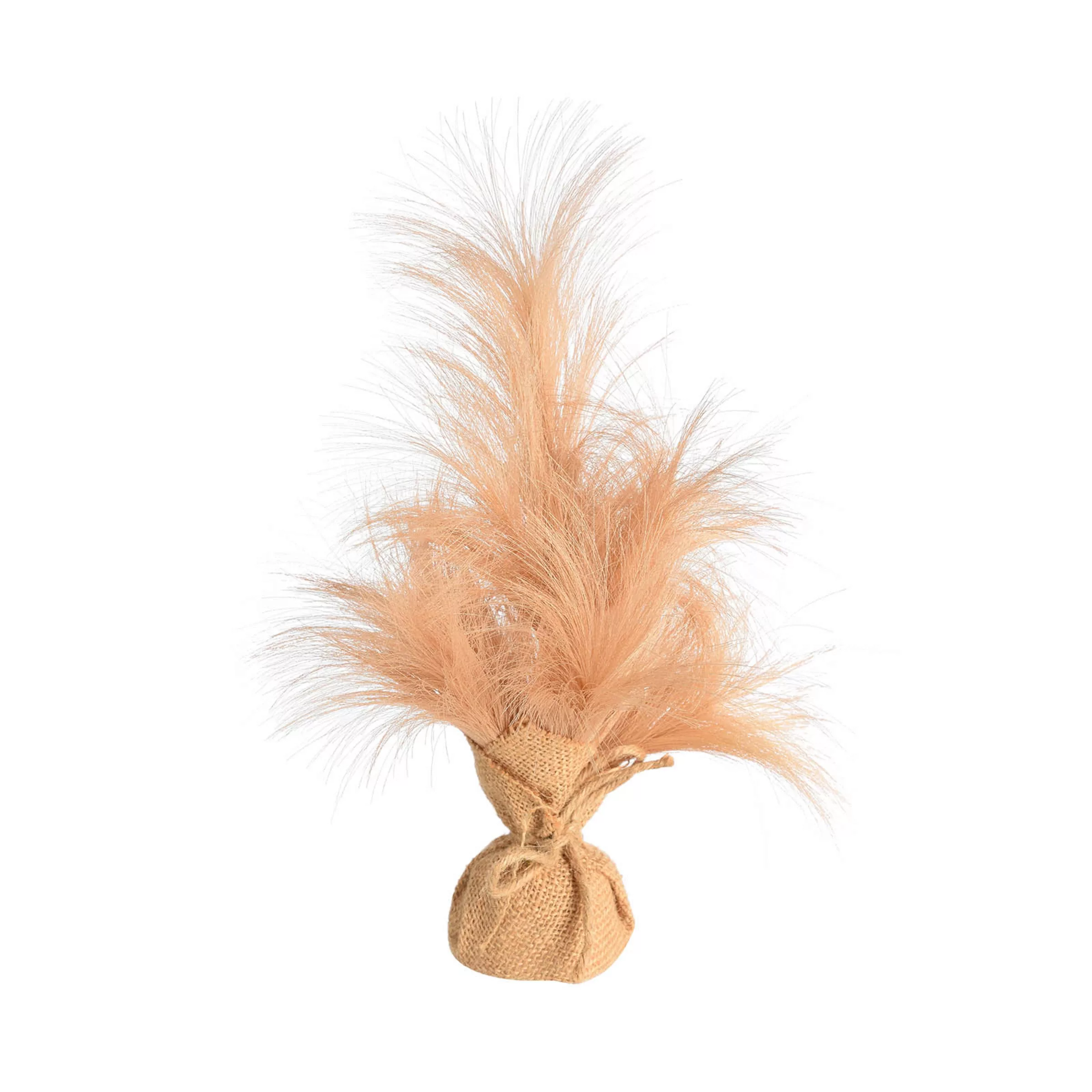 Dekobaum PAMPAS ca.30cm, beige günstig online kaufen