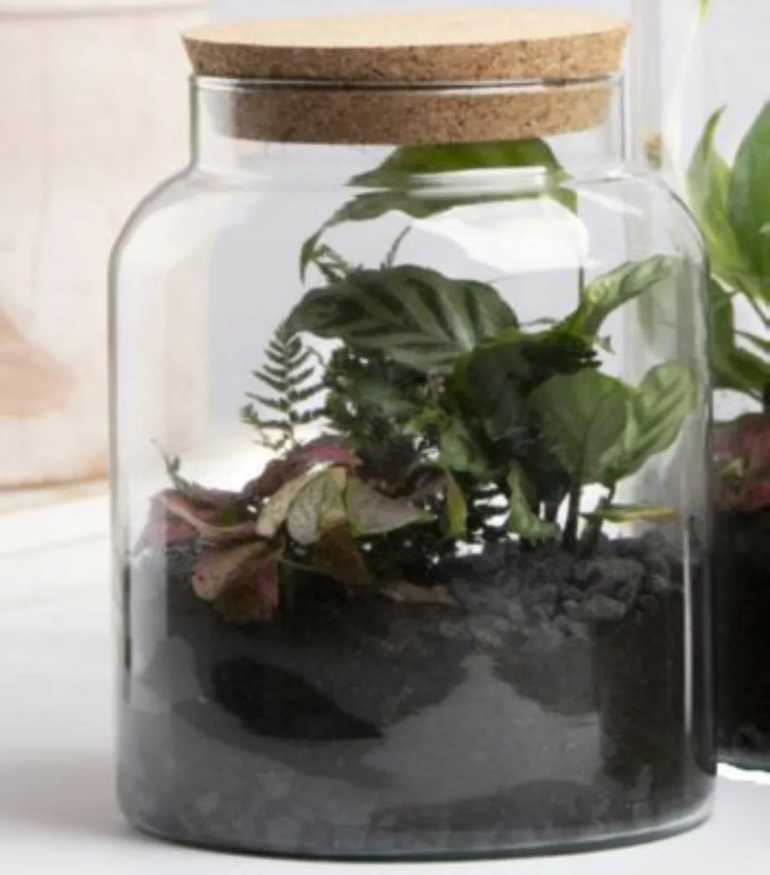 esschert design Halboffene Terrarium Flasche Glas 5L Pflanzen Deko Gewächs günstig online kaufen