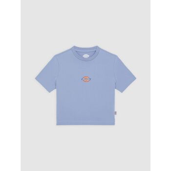 Dickies  T-Shirts & Poloshirts MAPLE VALLEY DK0A4XPO-K371 COUNTRY BLUE günstig online kaufen