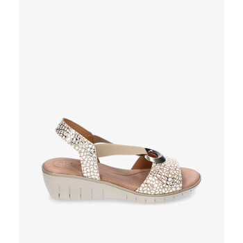 Valeria's  Pumps 1006 günstig online kaufen