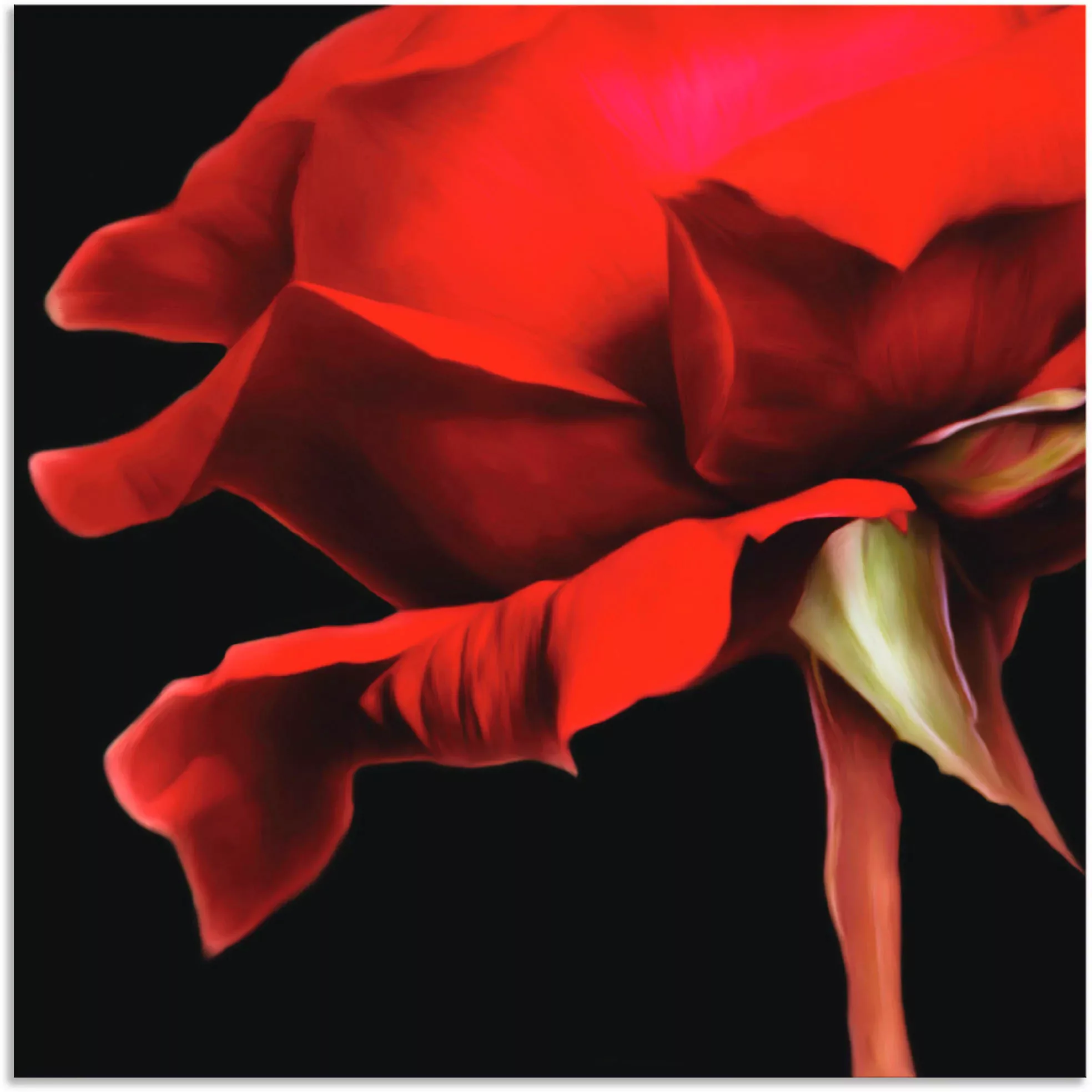 Artland Wandbild »Rose«, Blumen, (1 St.), als Alubild, Outdoorbild, Wandauf günstig online kaufen