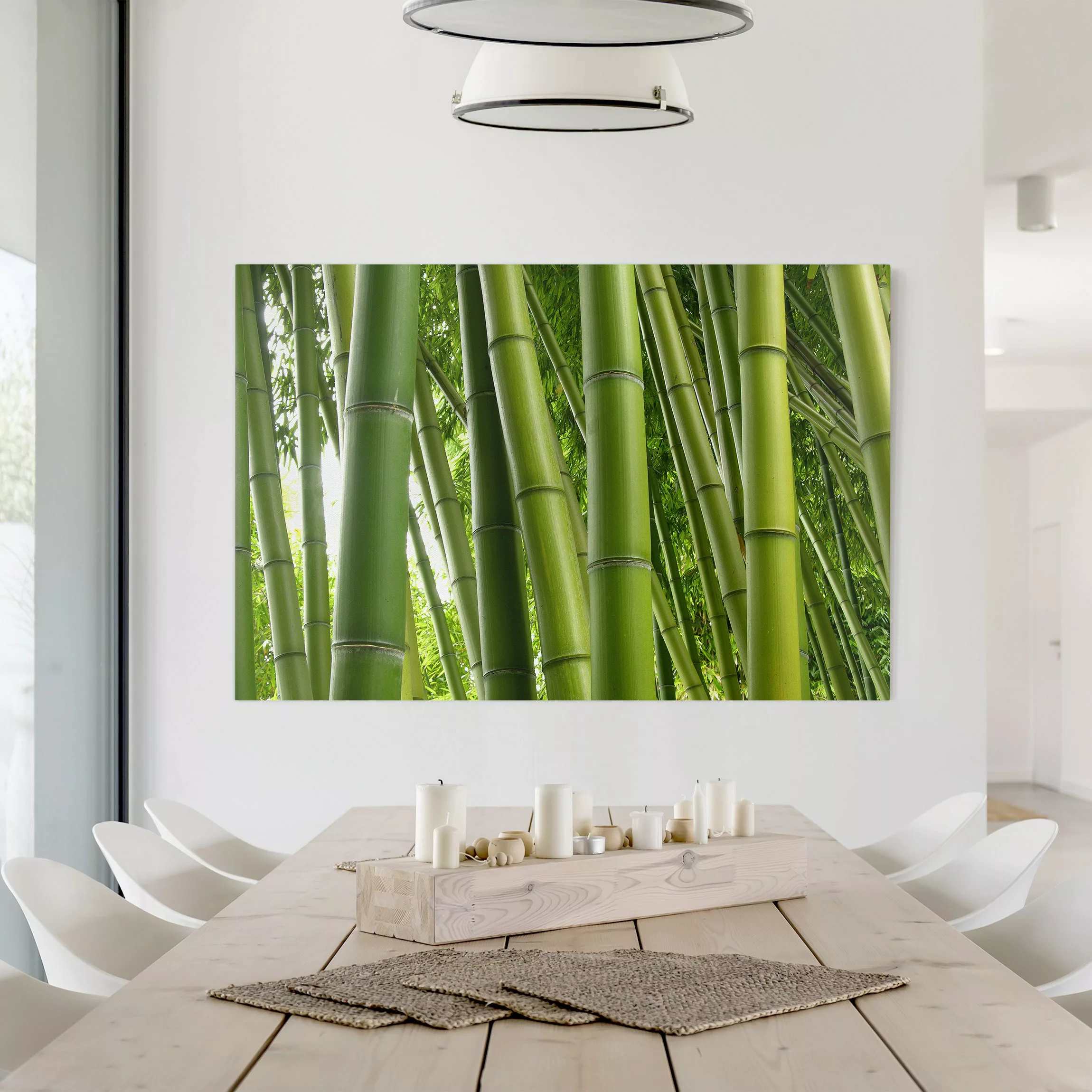 Leinwandbild Bambus - Querformat Bamboo Trees günstig online kaufen
