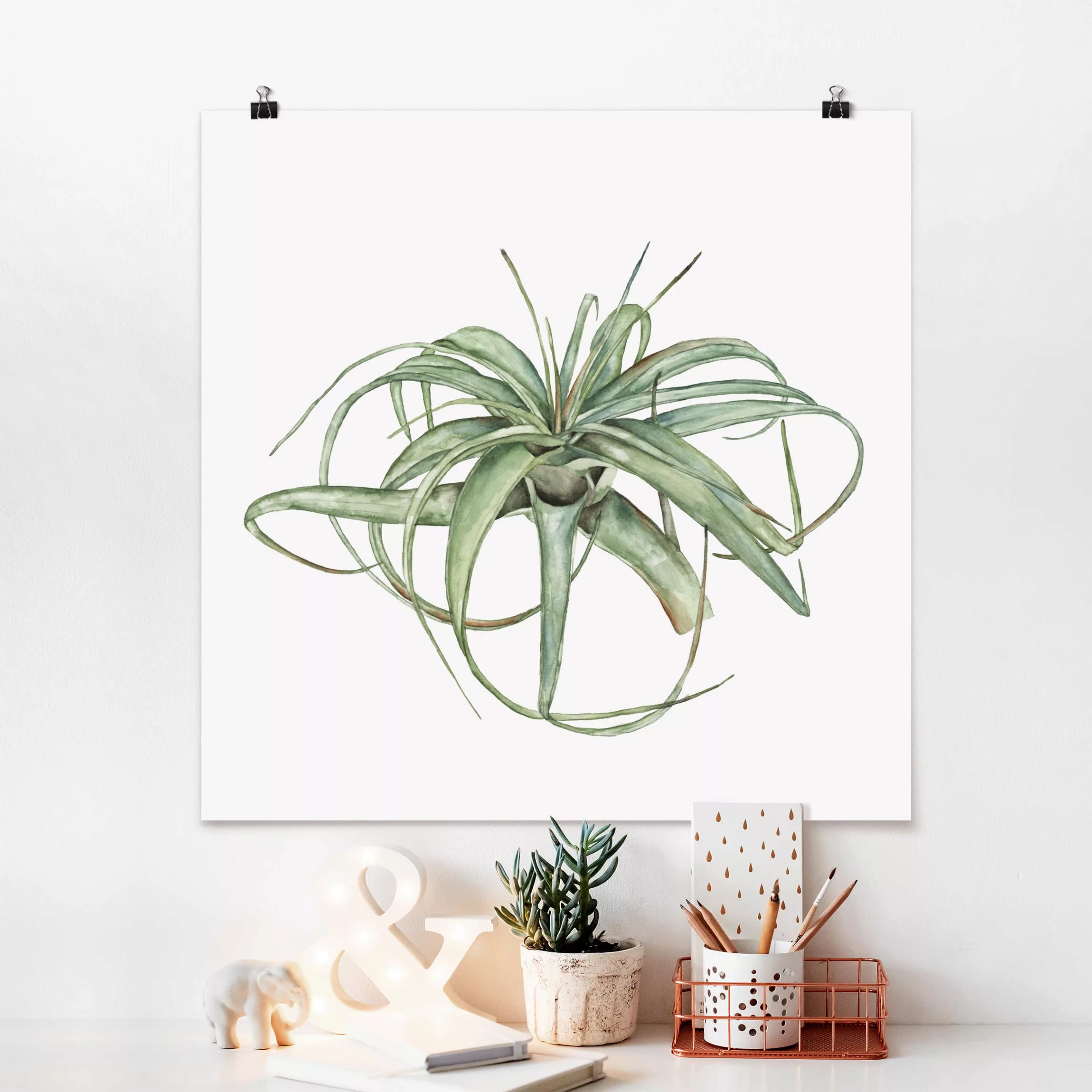 Poster Blumen - Quadrat Luftpflanze Aquarell I günstig online kaufen