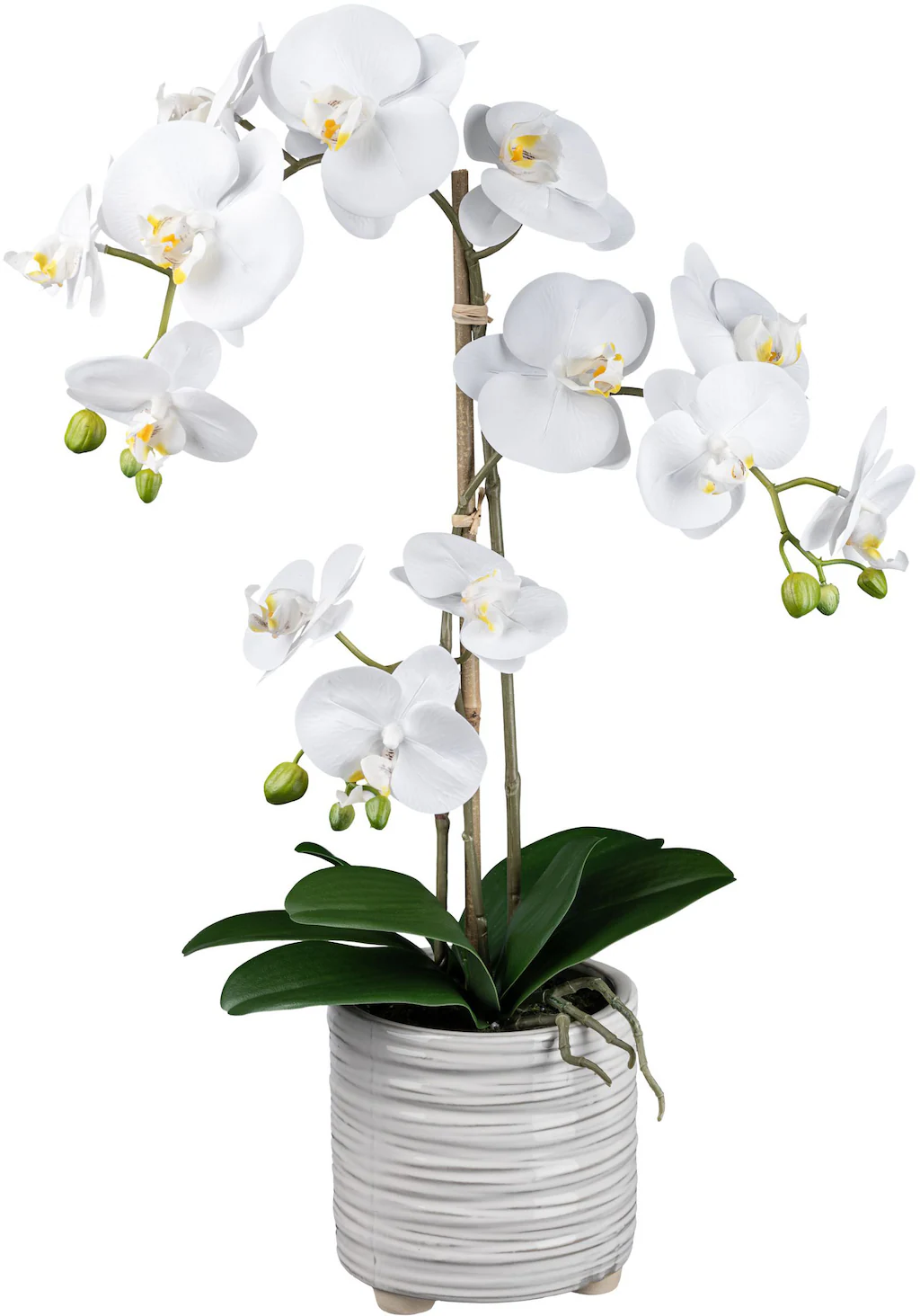 Creativ green Kunstorchidee "Orchidee Phalaenopsis", mit real-touch-Blüten günstig online kaufen