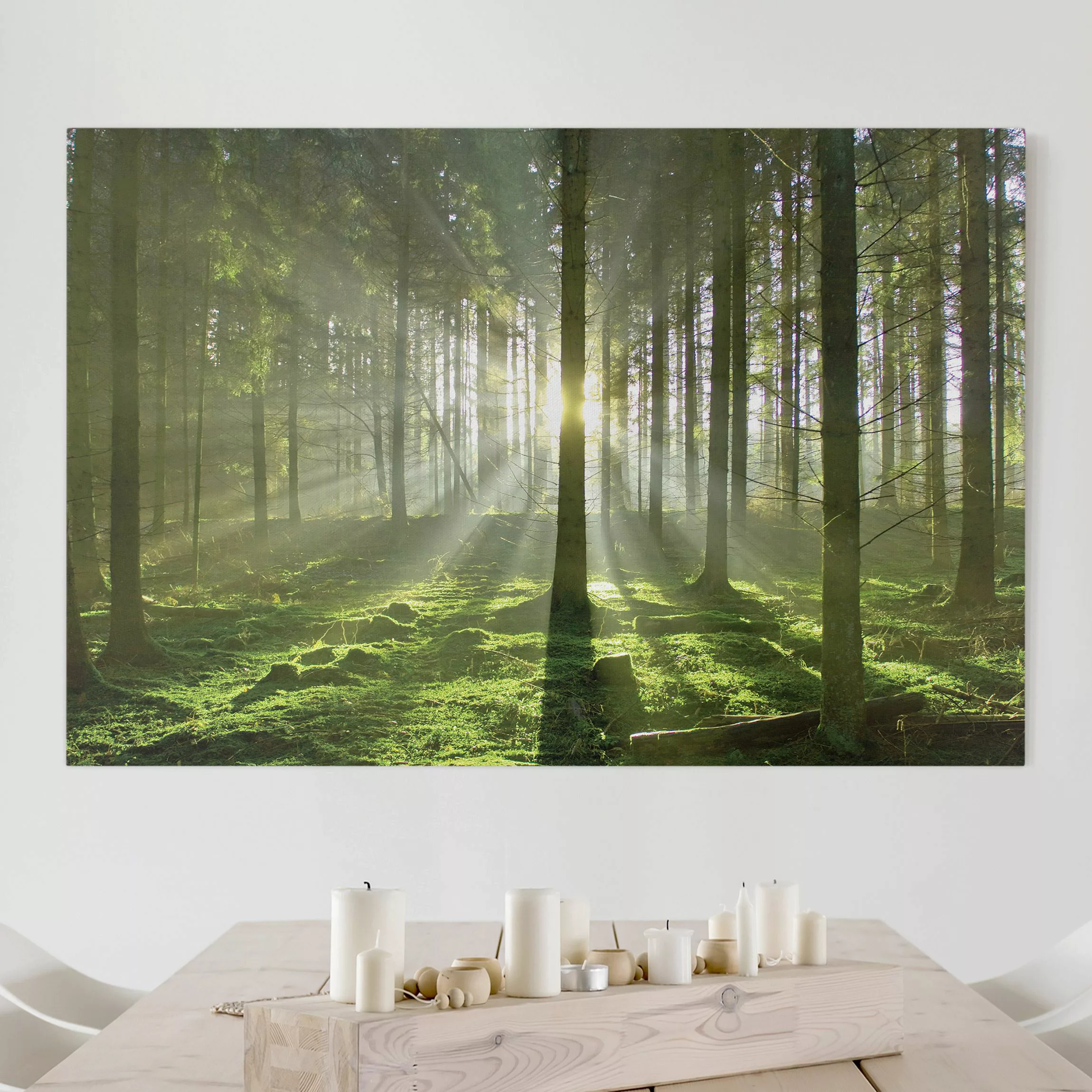 Leinwandbild Wald - Querformat Spring Fairytale günstig online kaufen