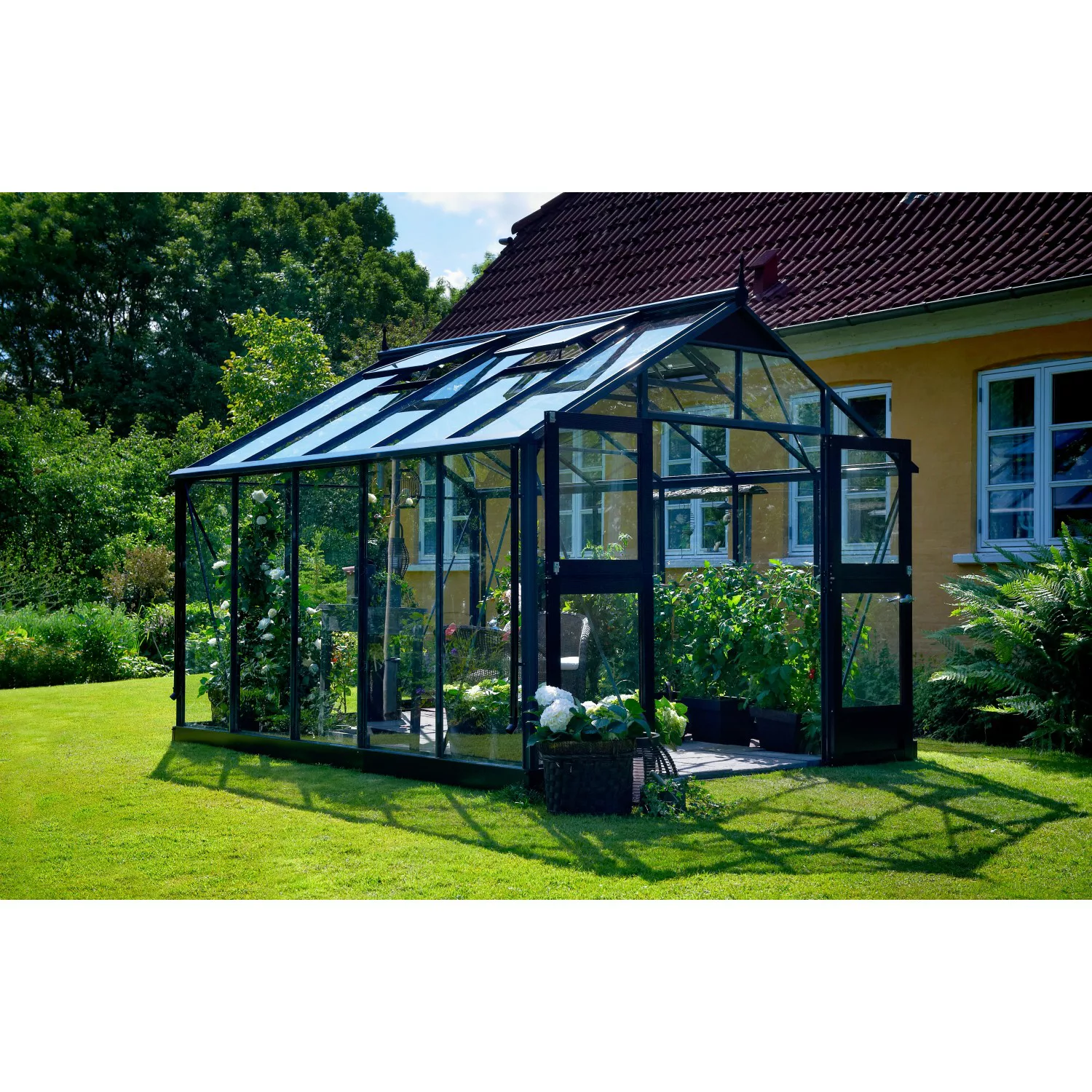 Juliana Gewächshaus Premium 10,9 m² 3 mm Sicherheitsglas Anthrazit günstig online kaufen